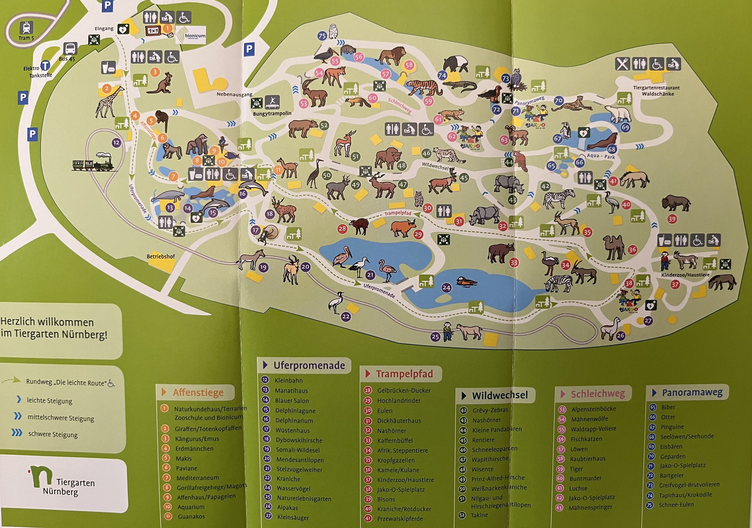 Zoo Map - 2019