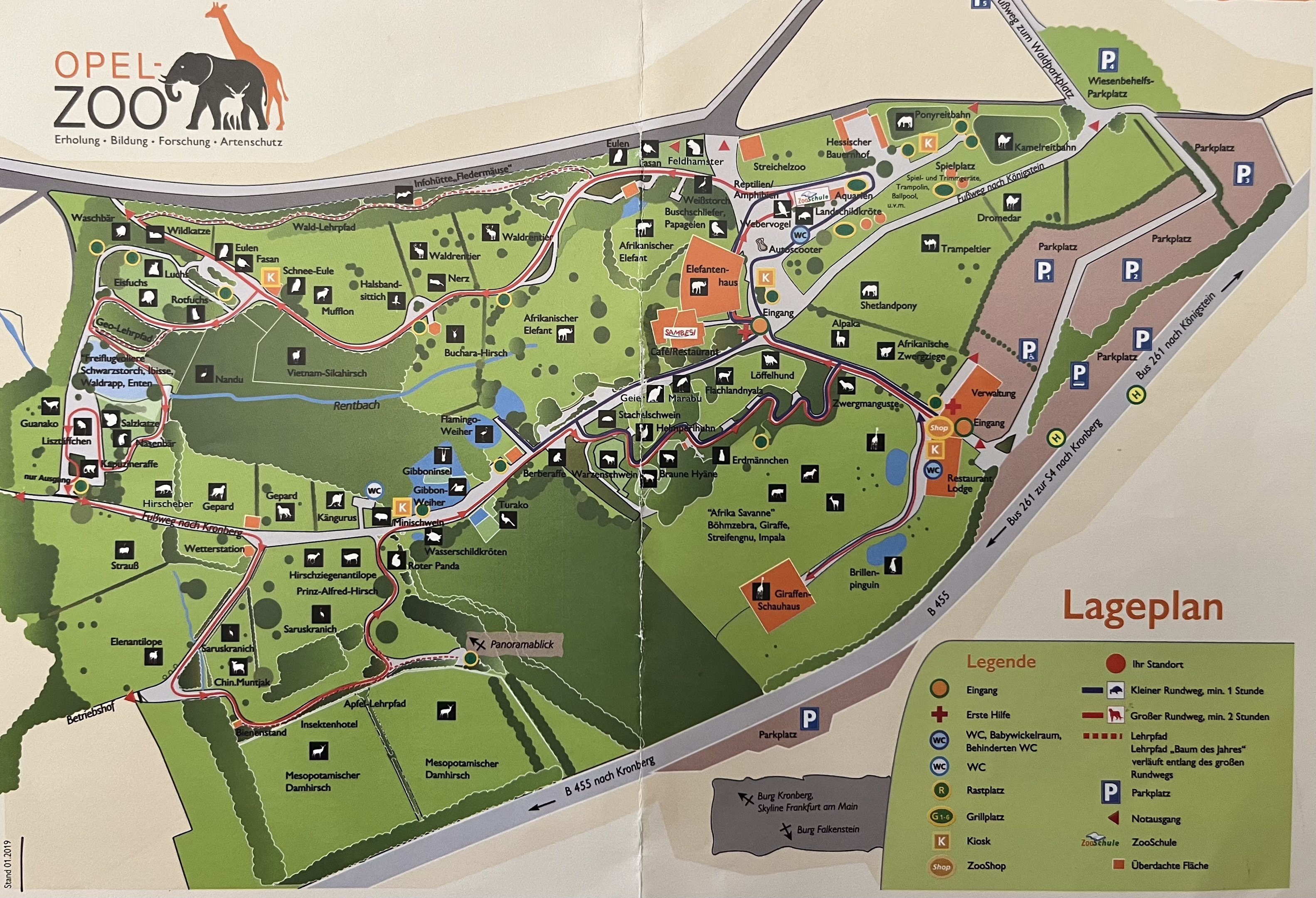 Zoo Map - 2019