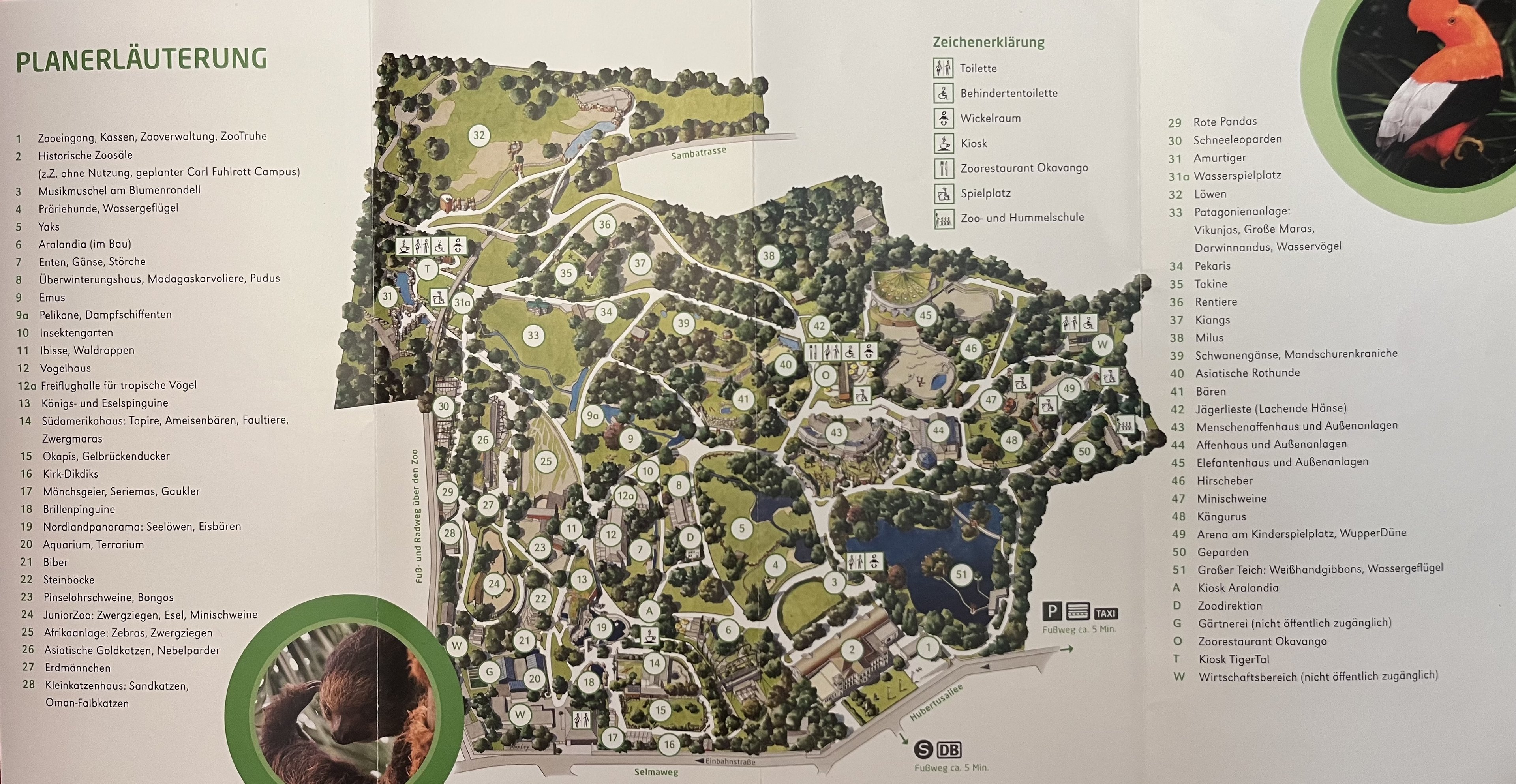 Zoo Map - 2019