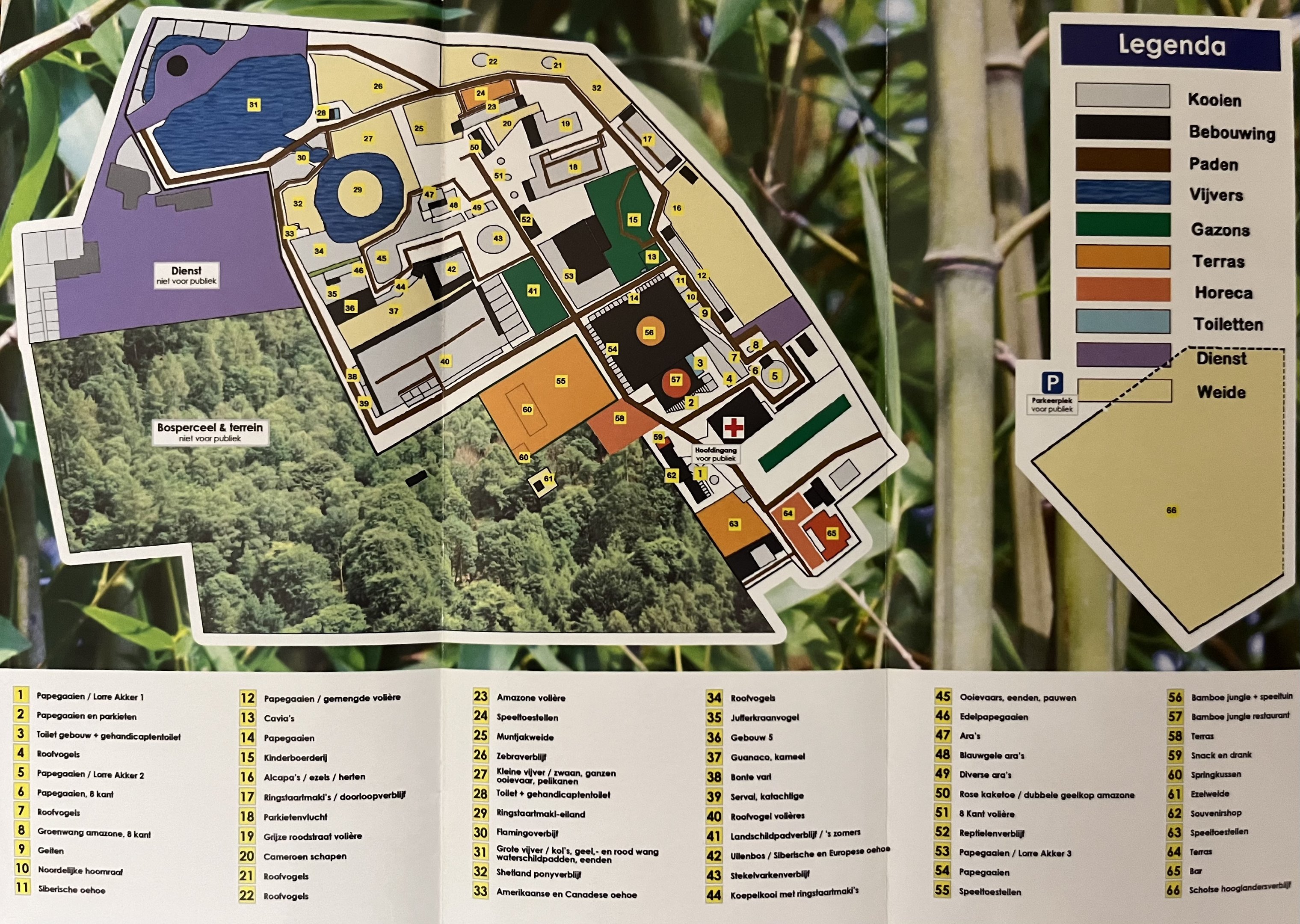Zoo Map - 2019