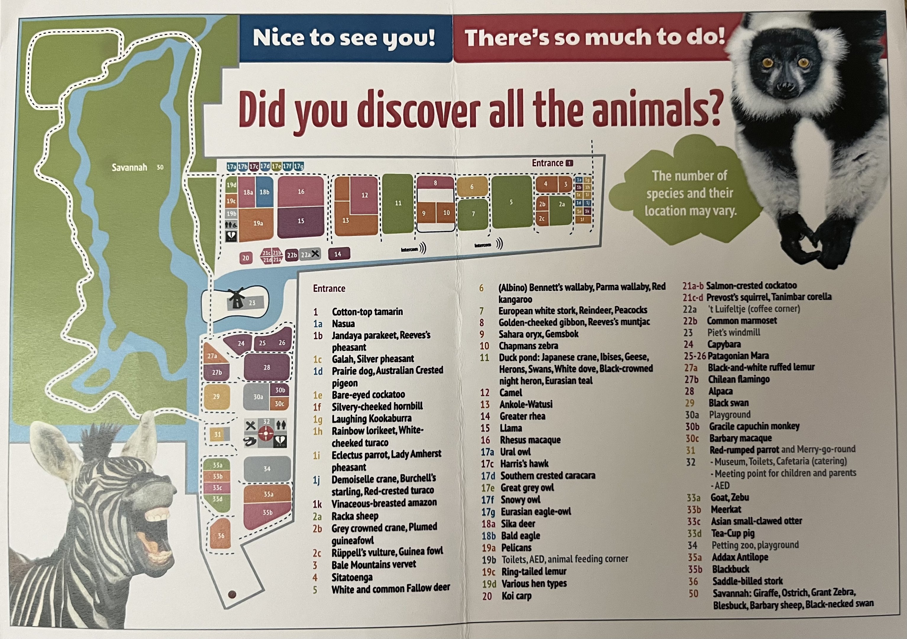 Zoo Map - 2019