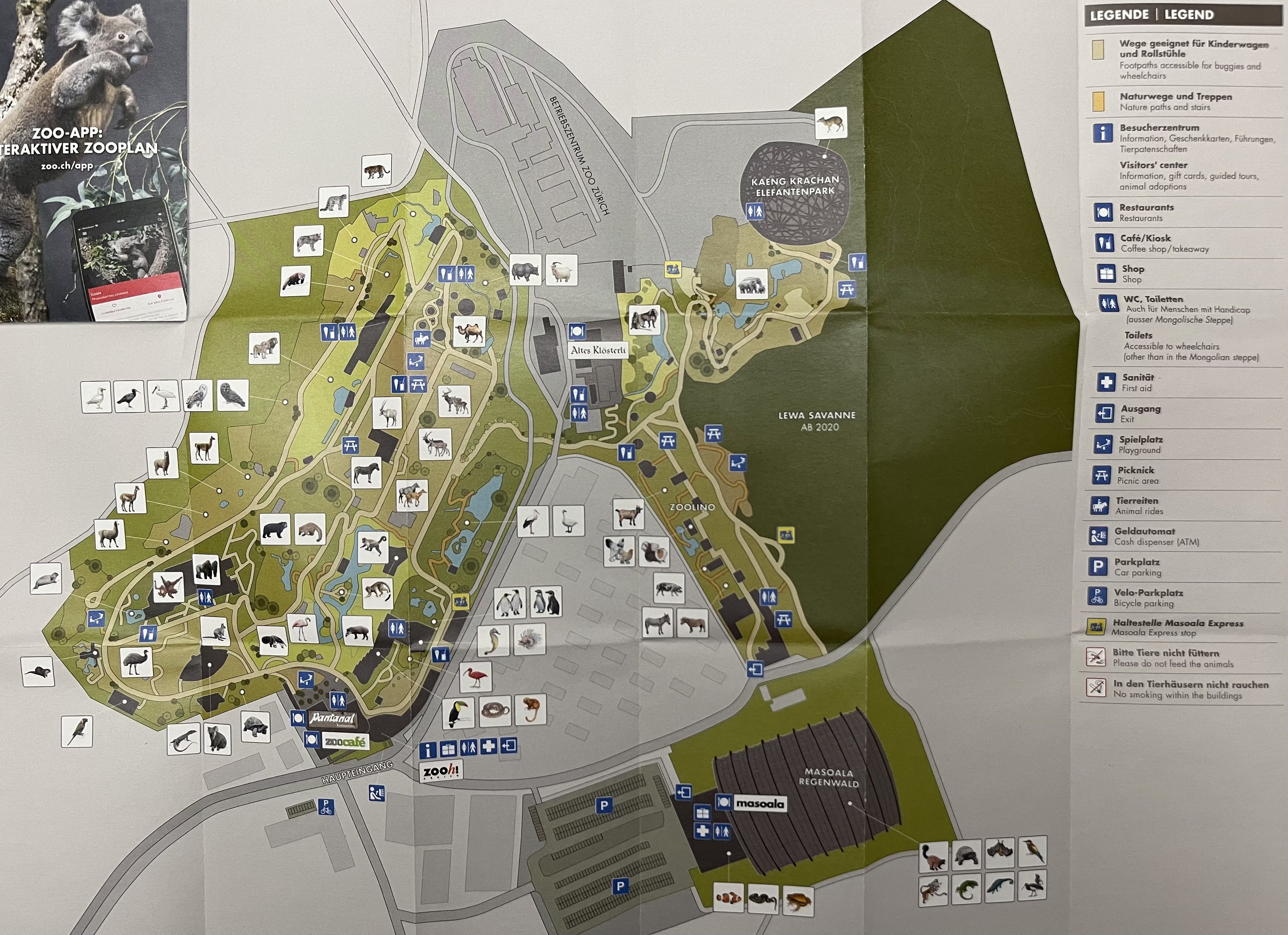 Zoo Map - 2019