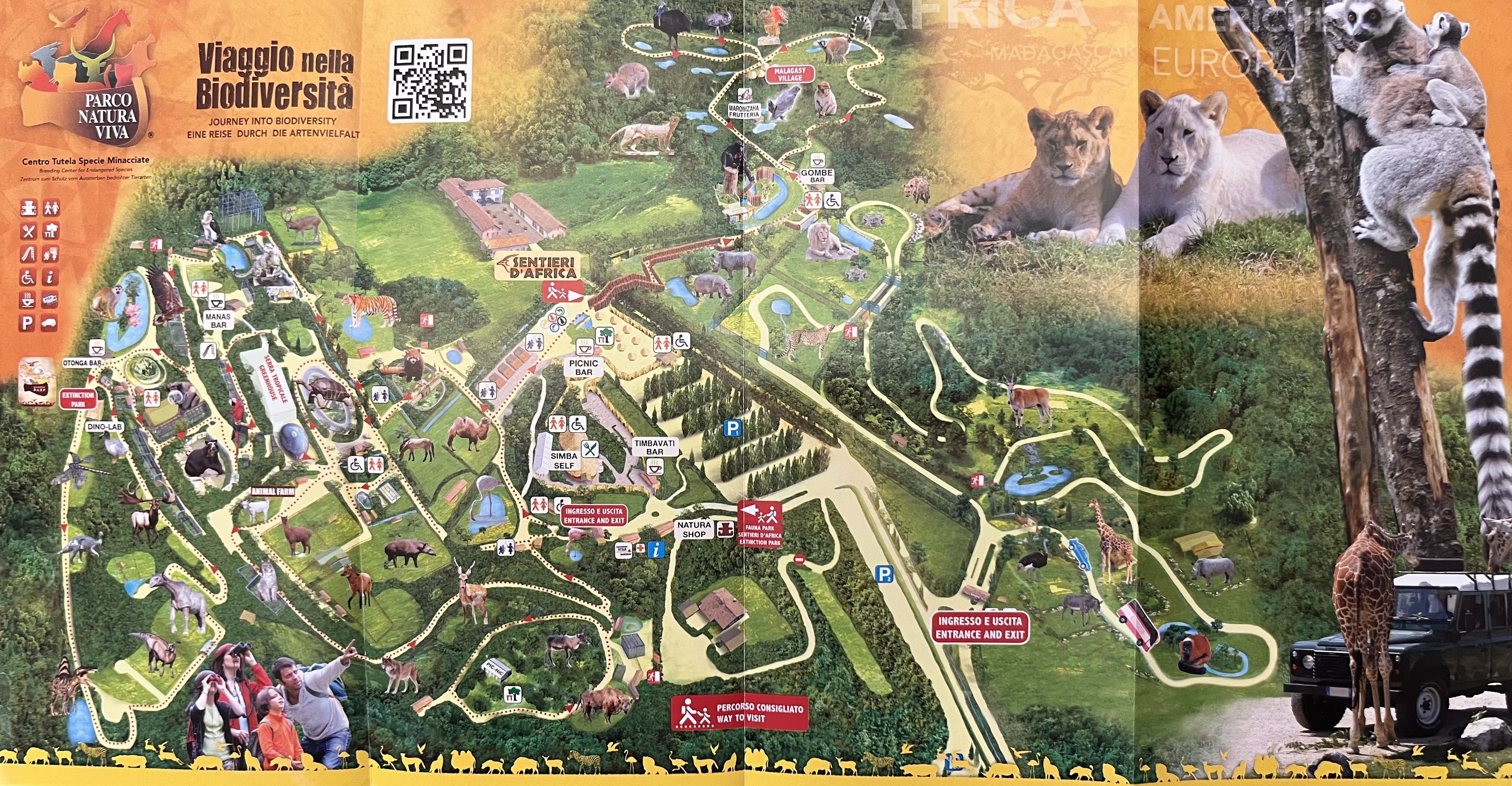 Zoo Map - 2020