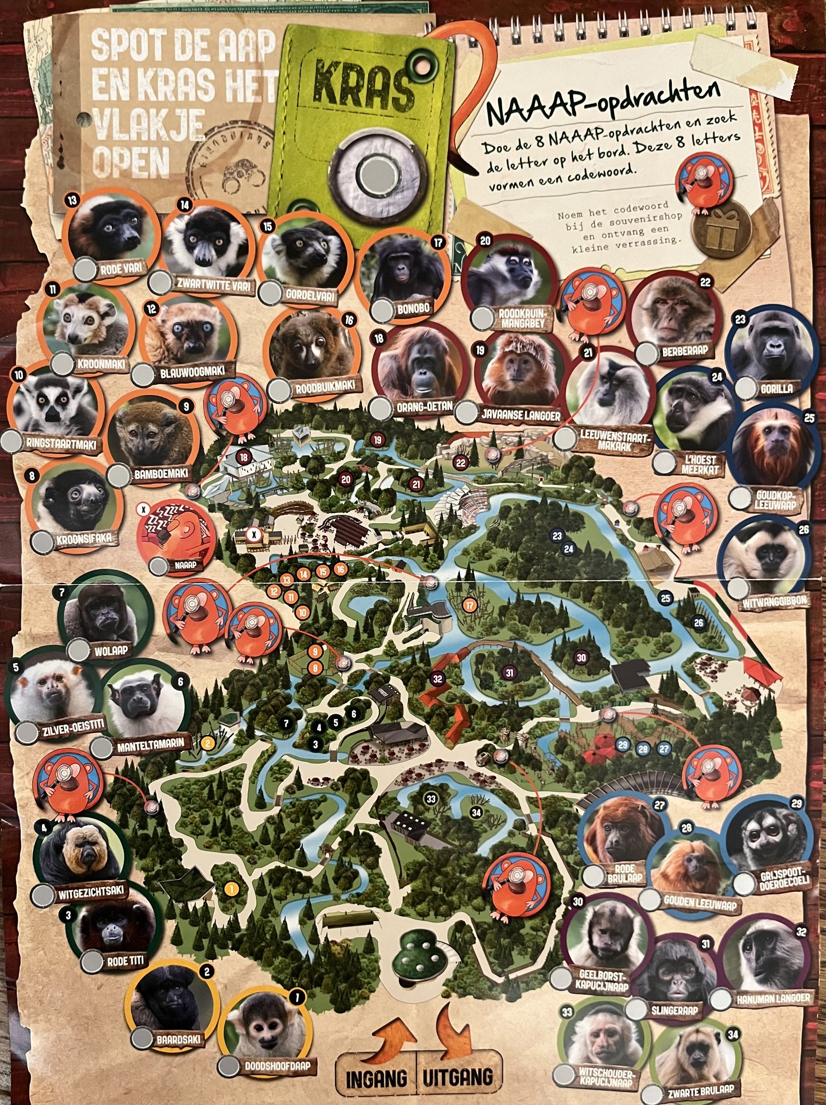 Zoo Map - 2021?