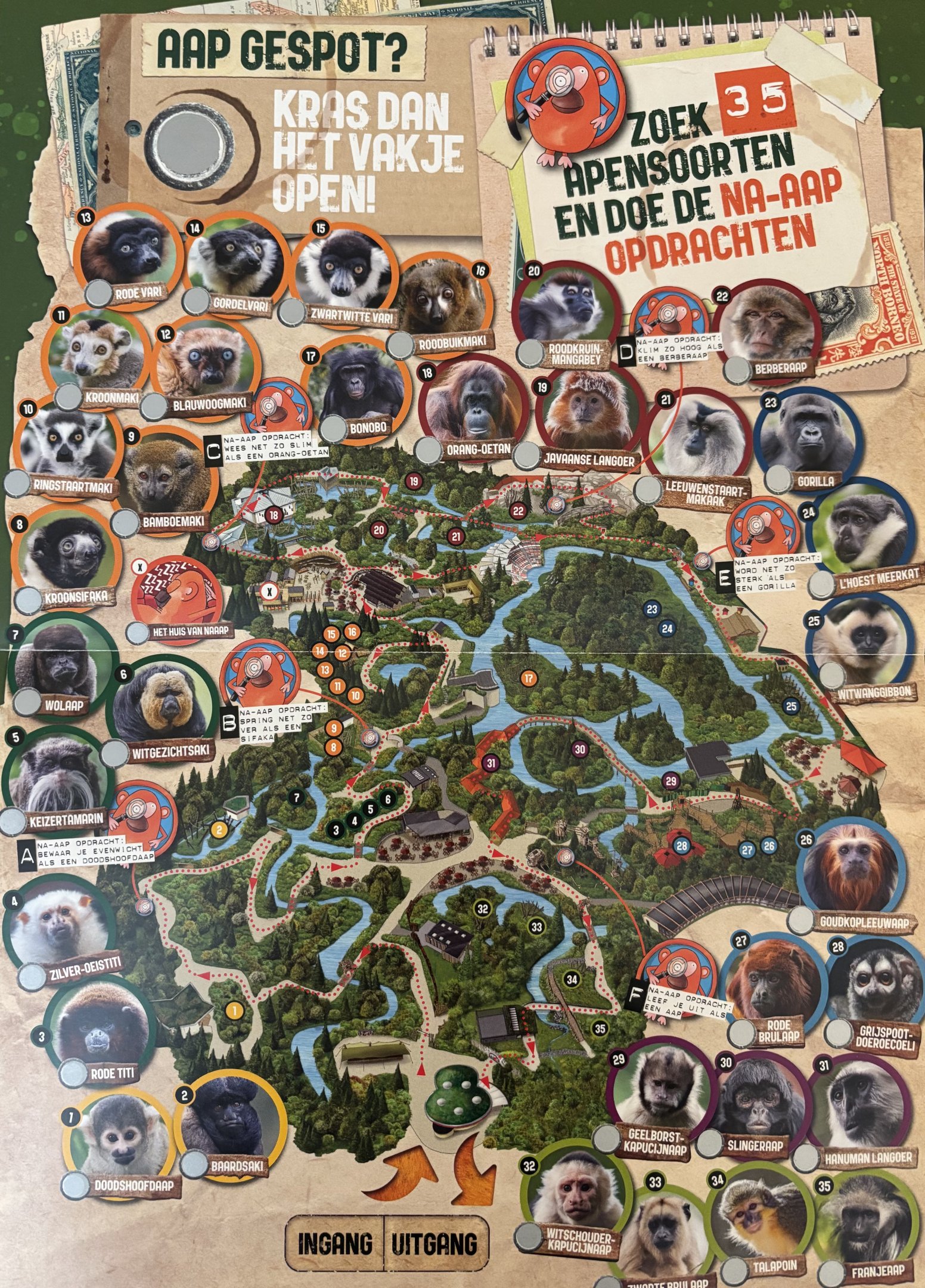 Zoo Map - 2024