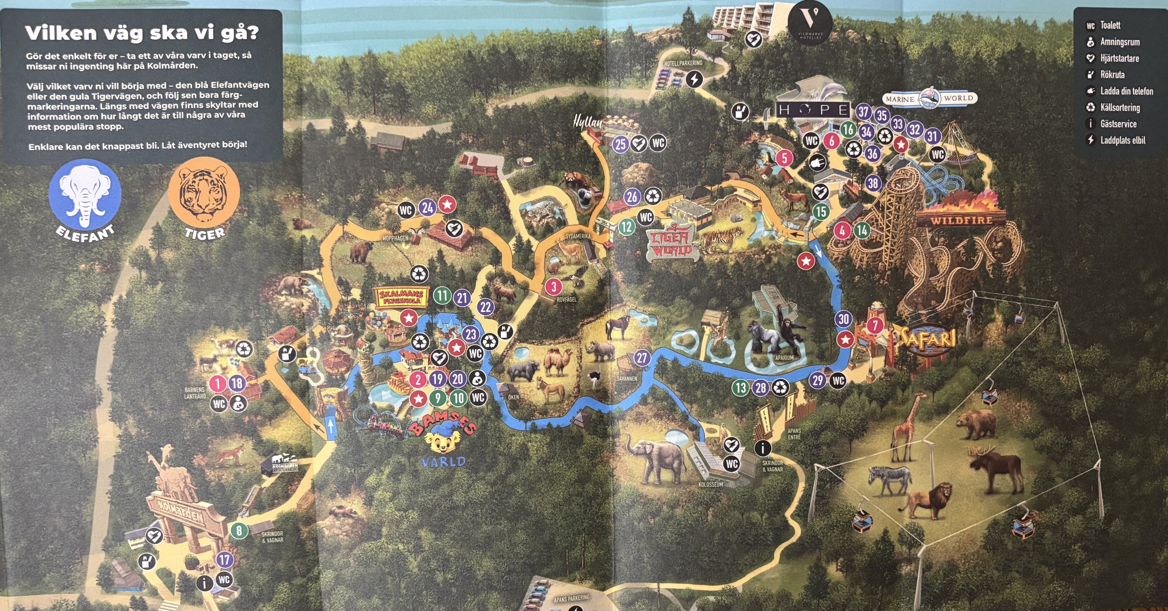 Zoo Map - 2024