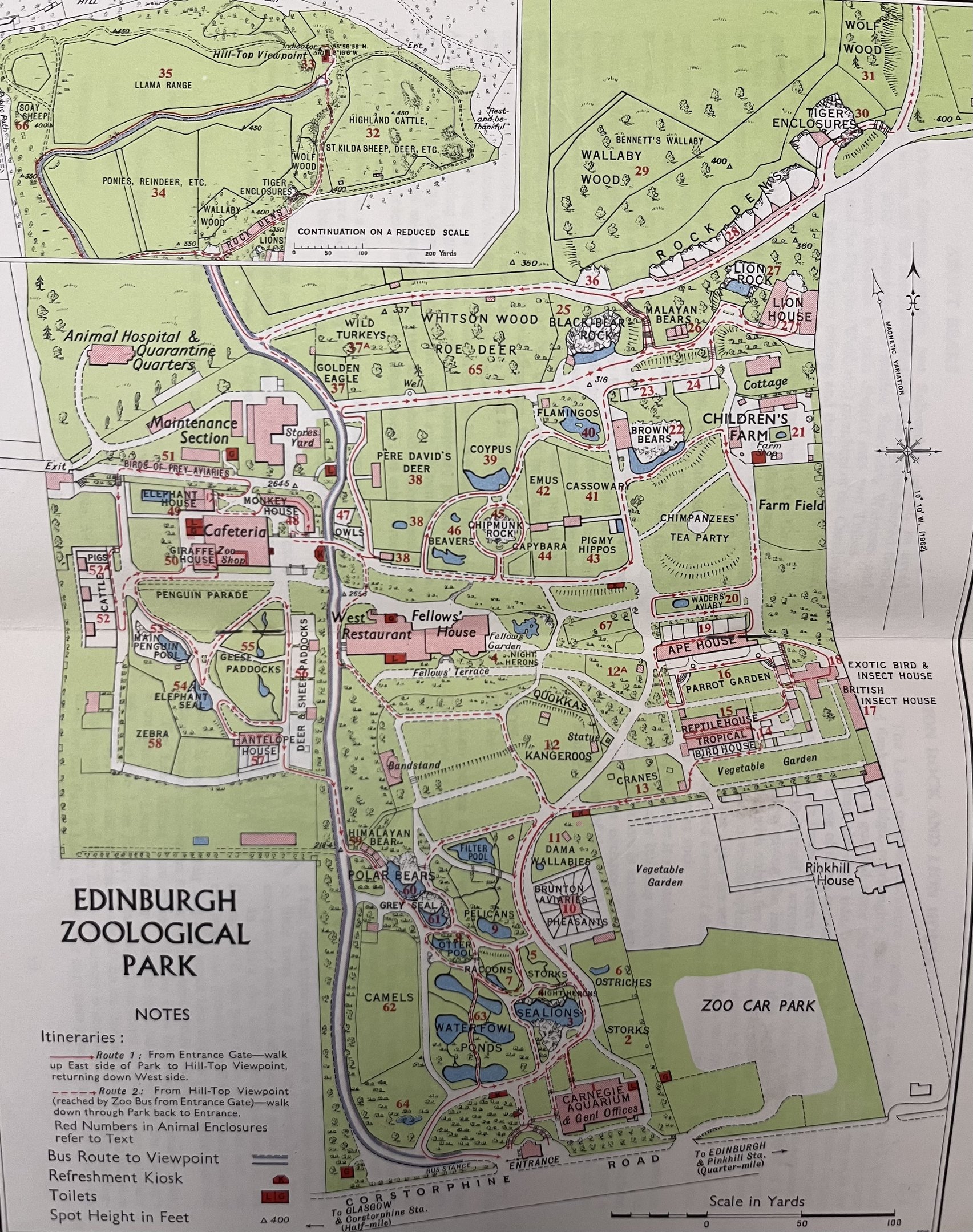 Zoo Map - circa 1962