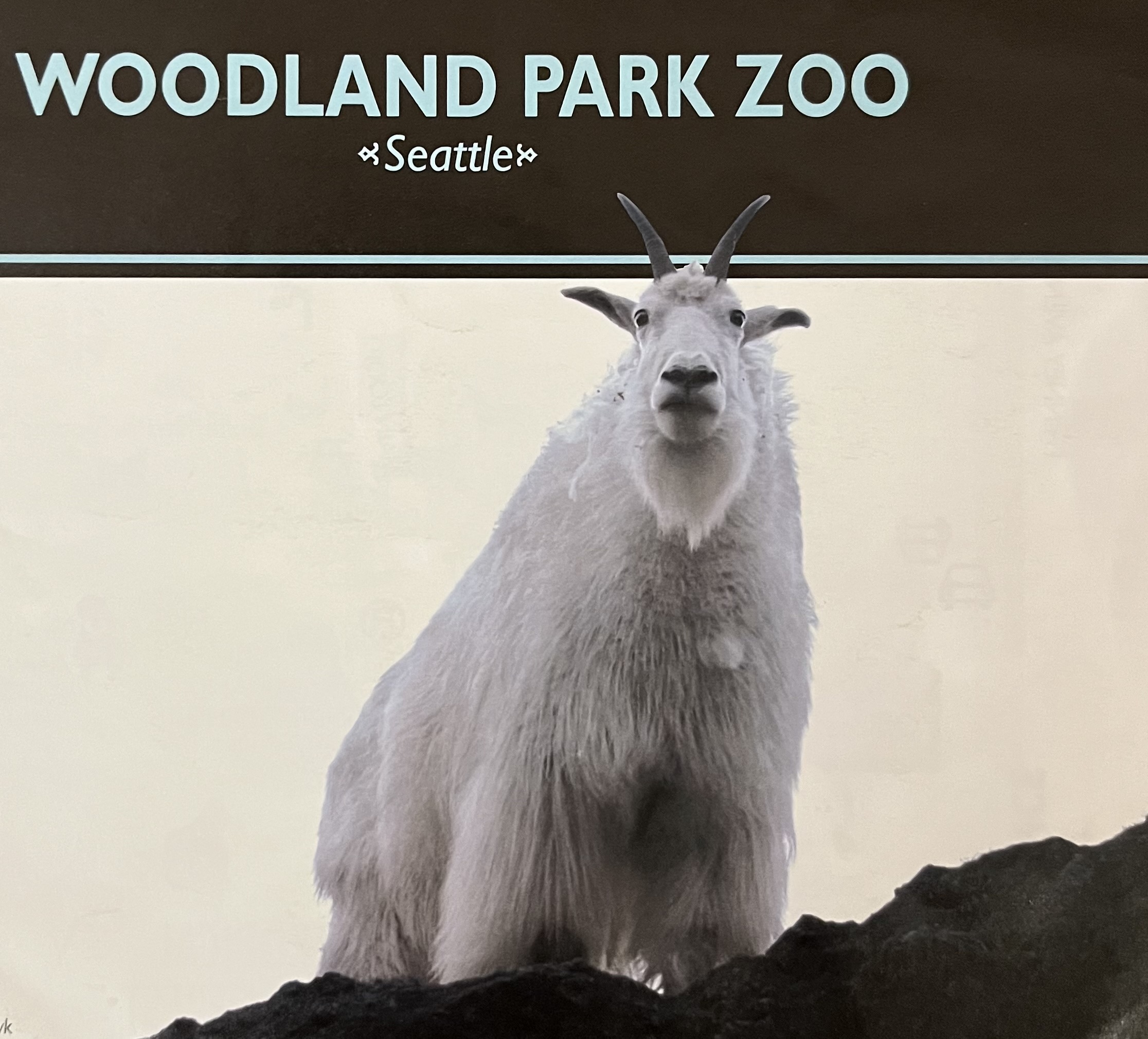 Zoo Map Cover - 2005