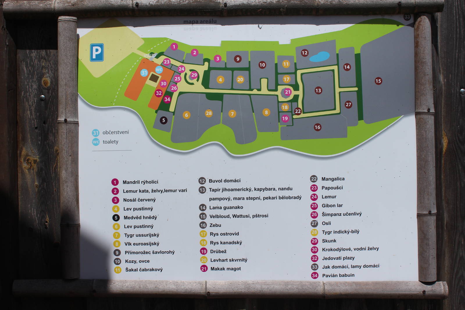 Zoo Map, Dvorec Zoo