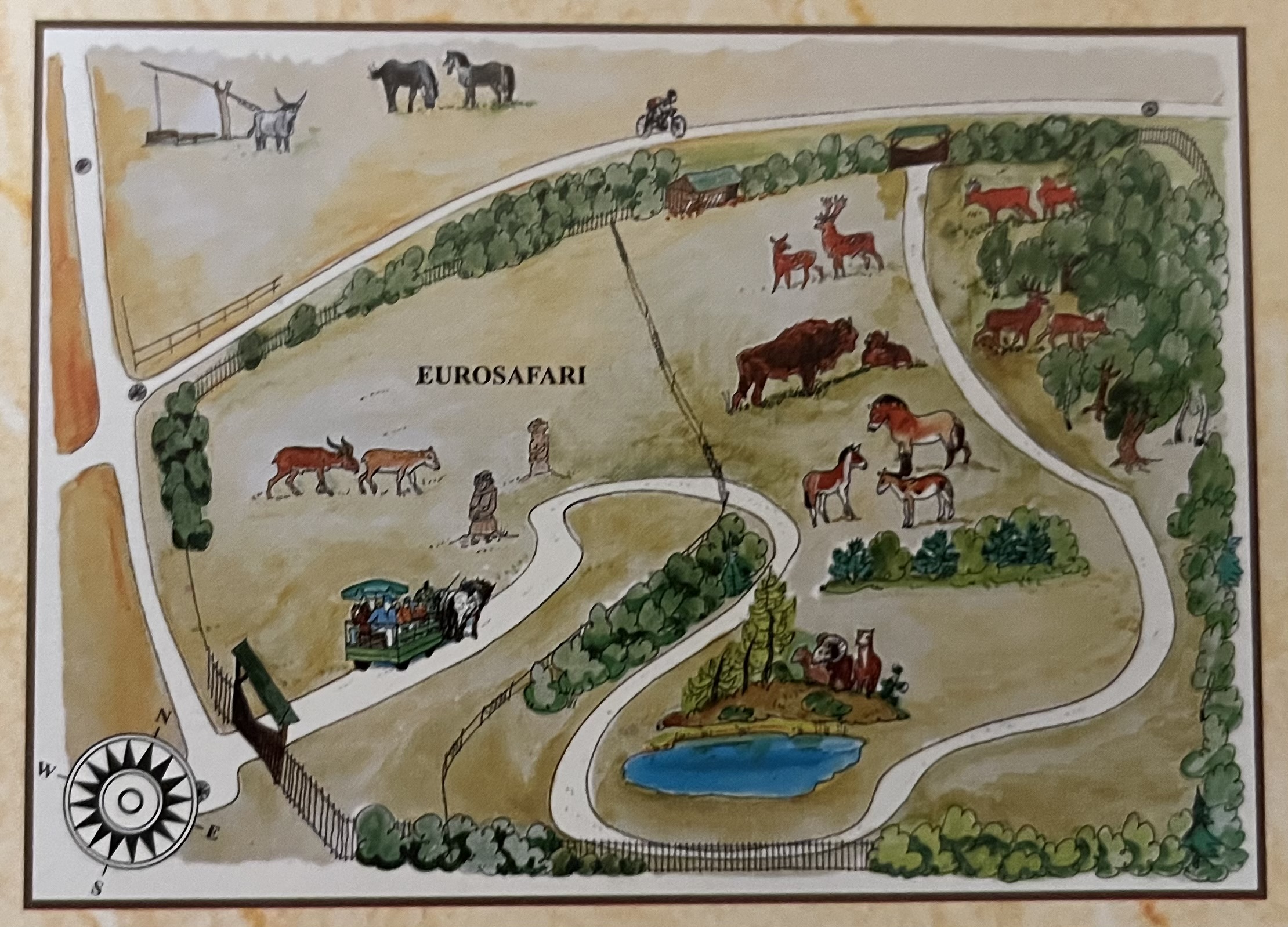 Zoo Map (Eurosafari) - 2015