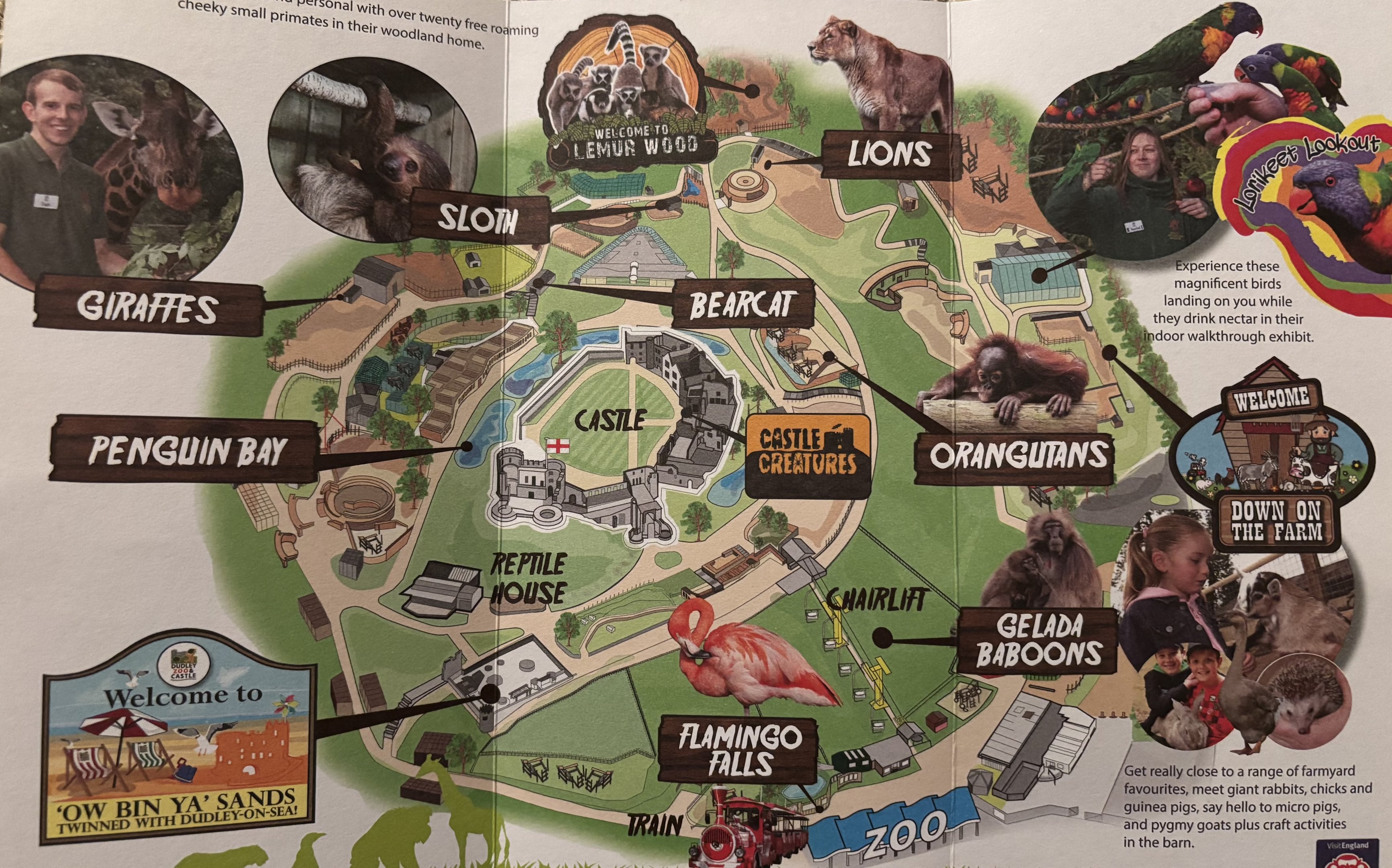 Zoo Map - January 2020
