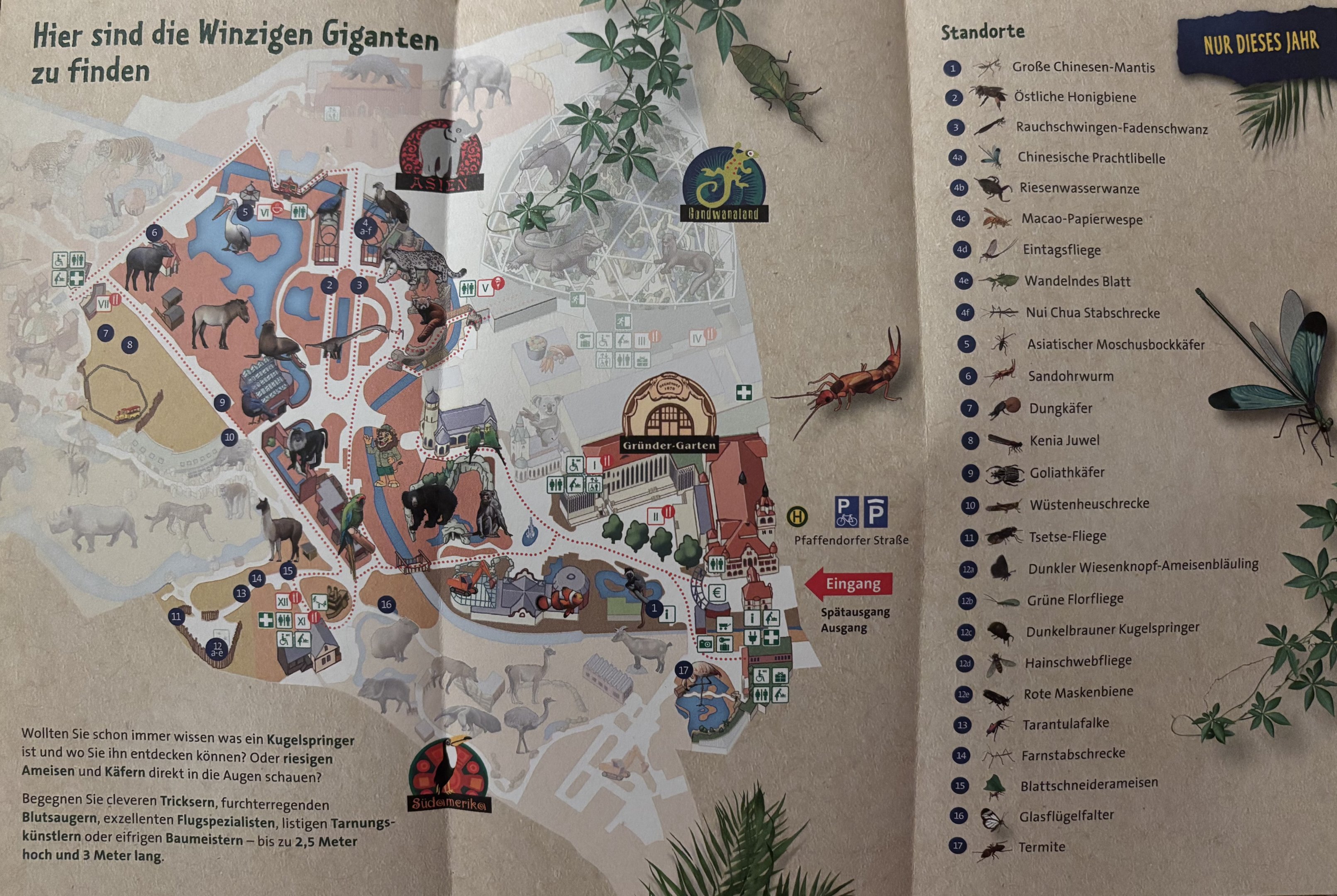 Zoo Map - May 2024 (Insect Map)