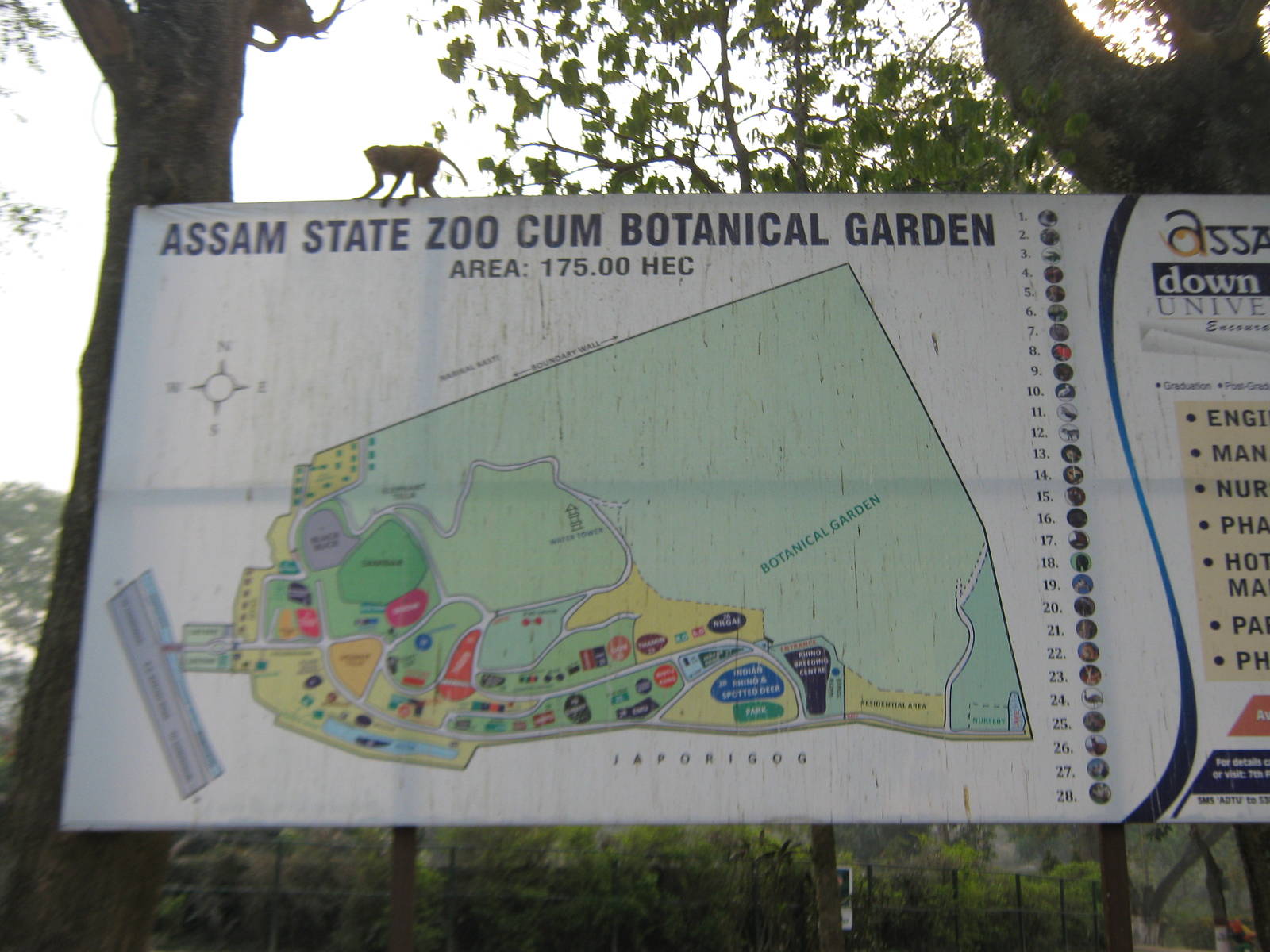zoo map signboard (with rhesus macaque)