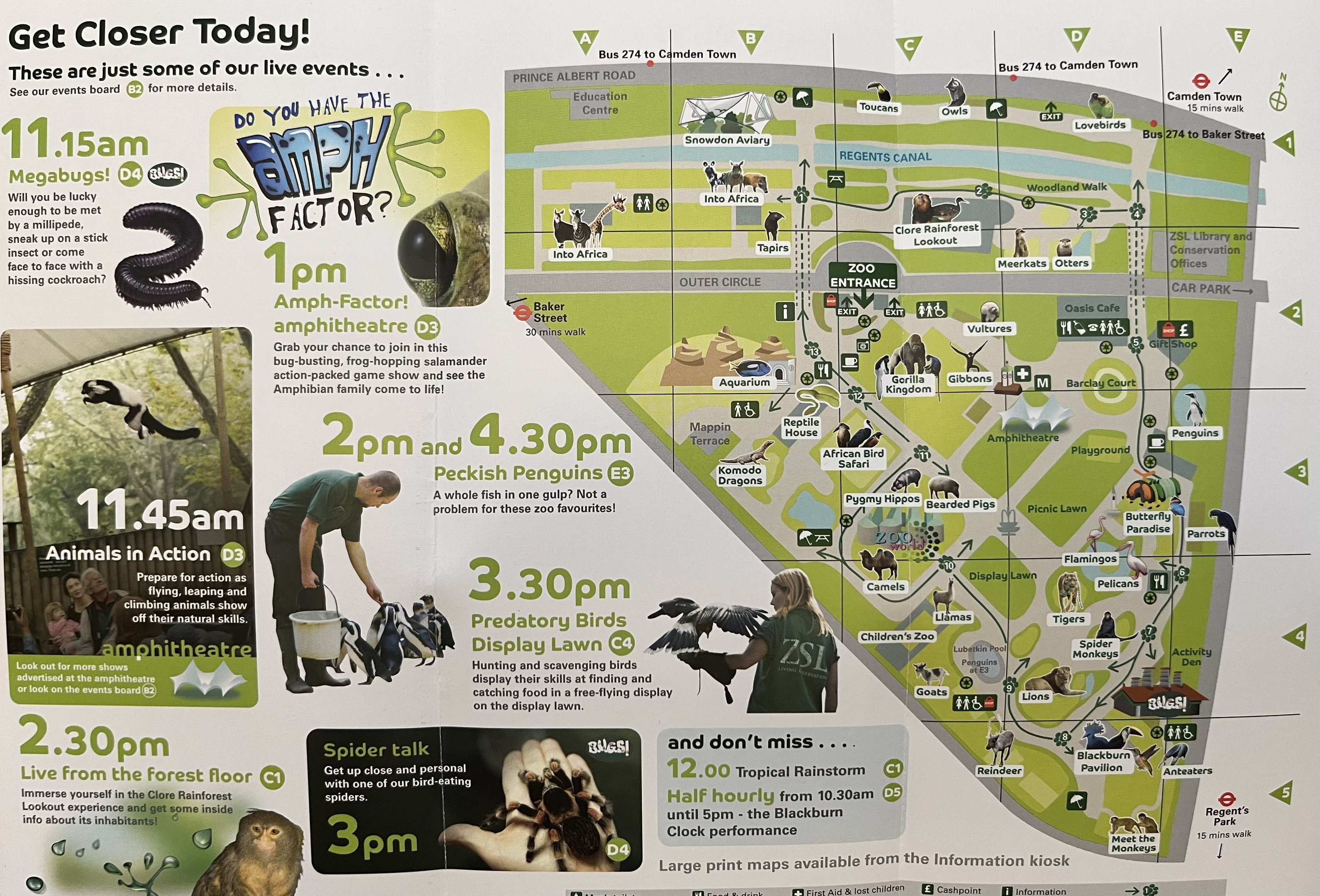 Zoo Map - Spring 2008