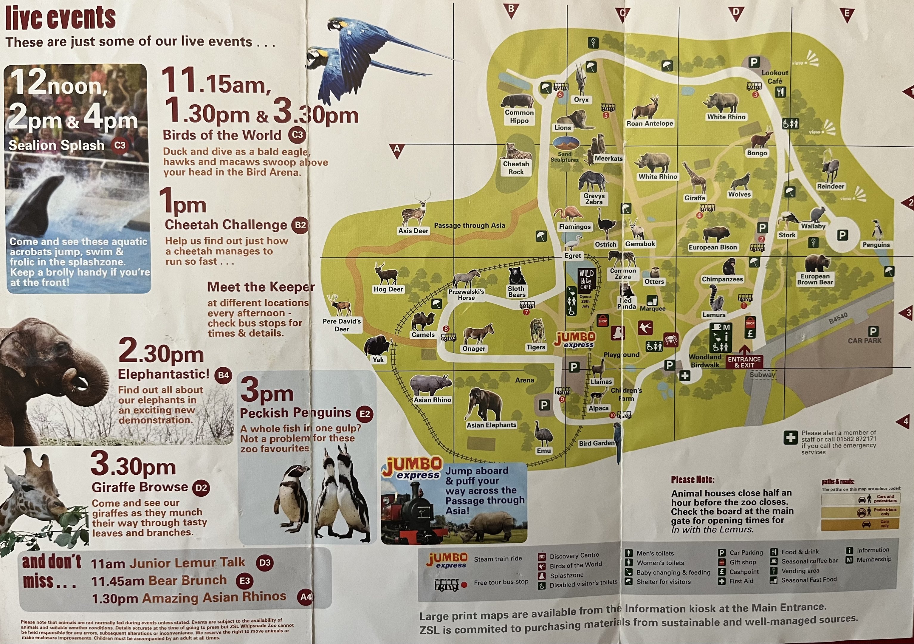 Zoo Map - Spring 2008