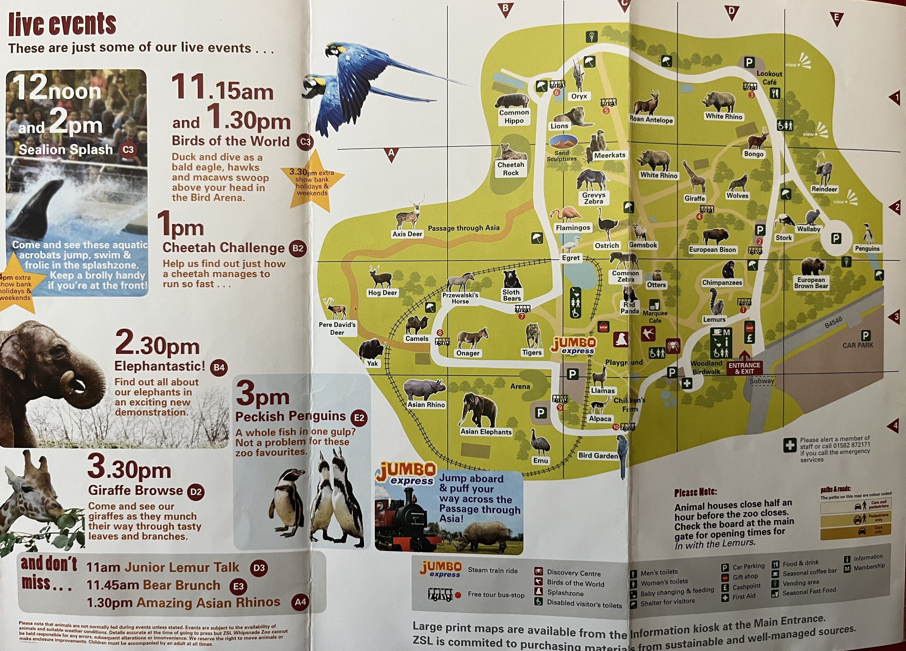 Zoo Map - Summer 2008