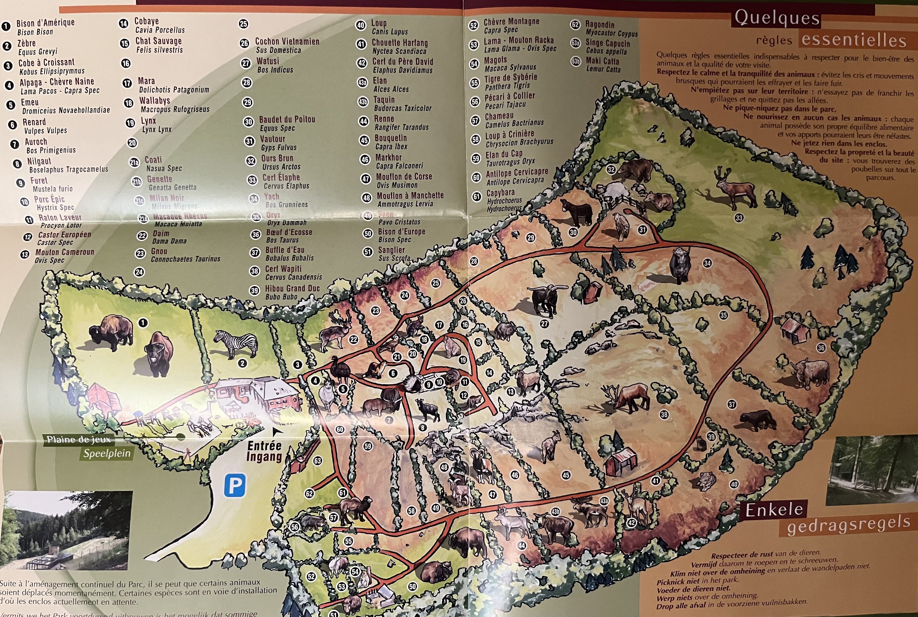 Zoo Map - undated