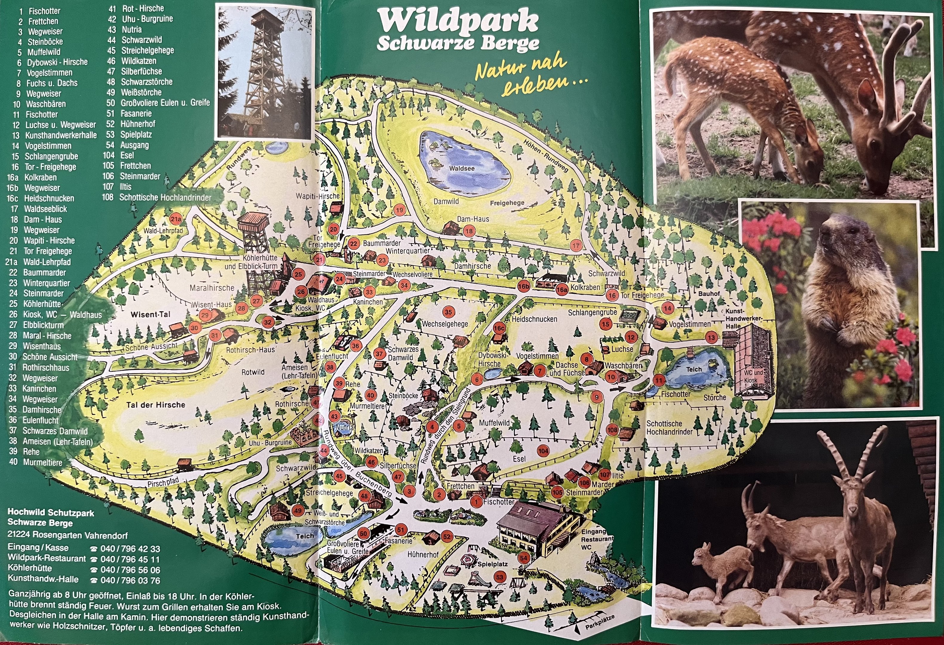 Zoo Map - undated