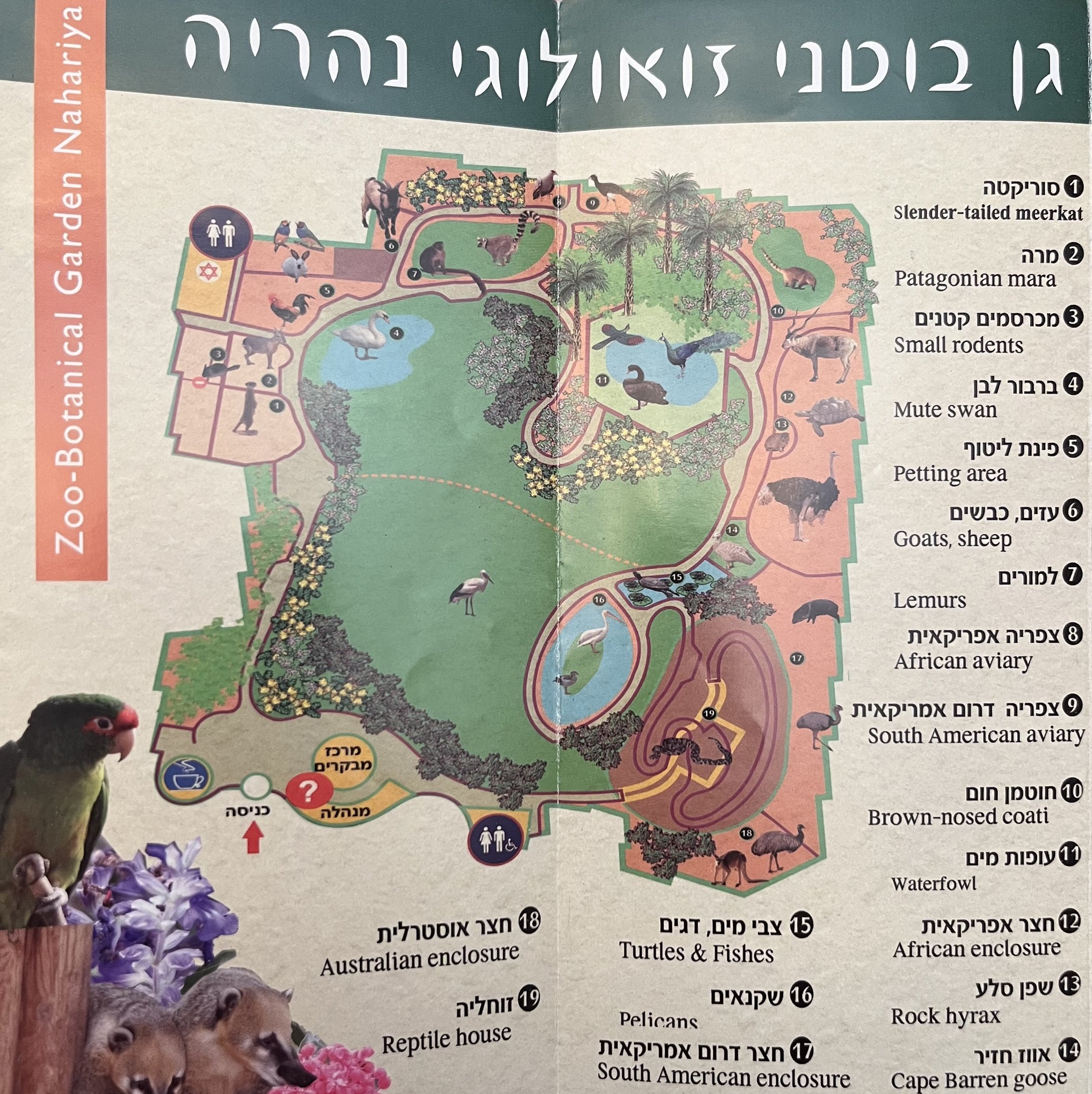 Zoo Map - undated