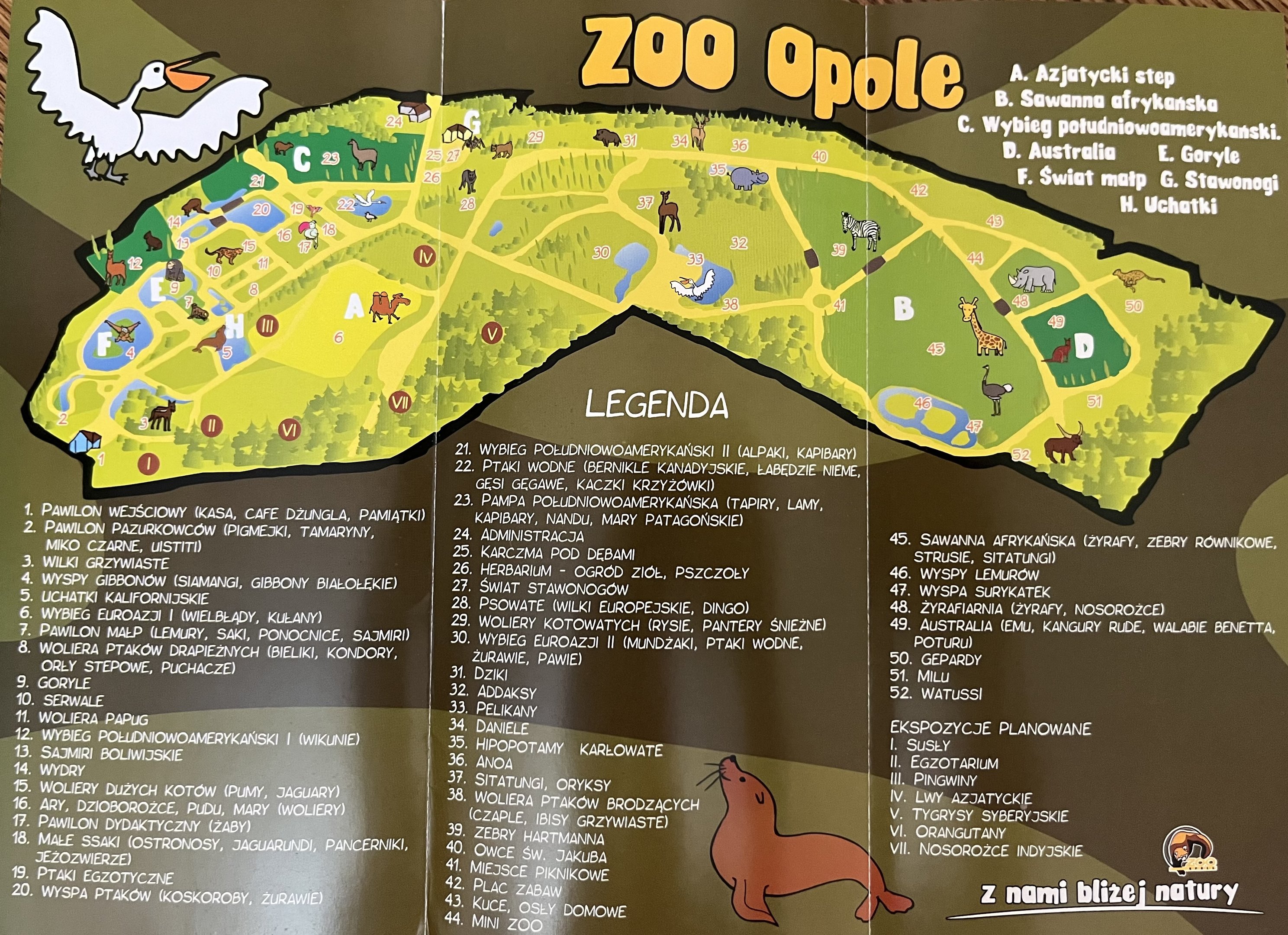 Zoo Map - undated