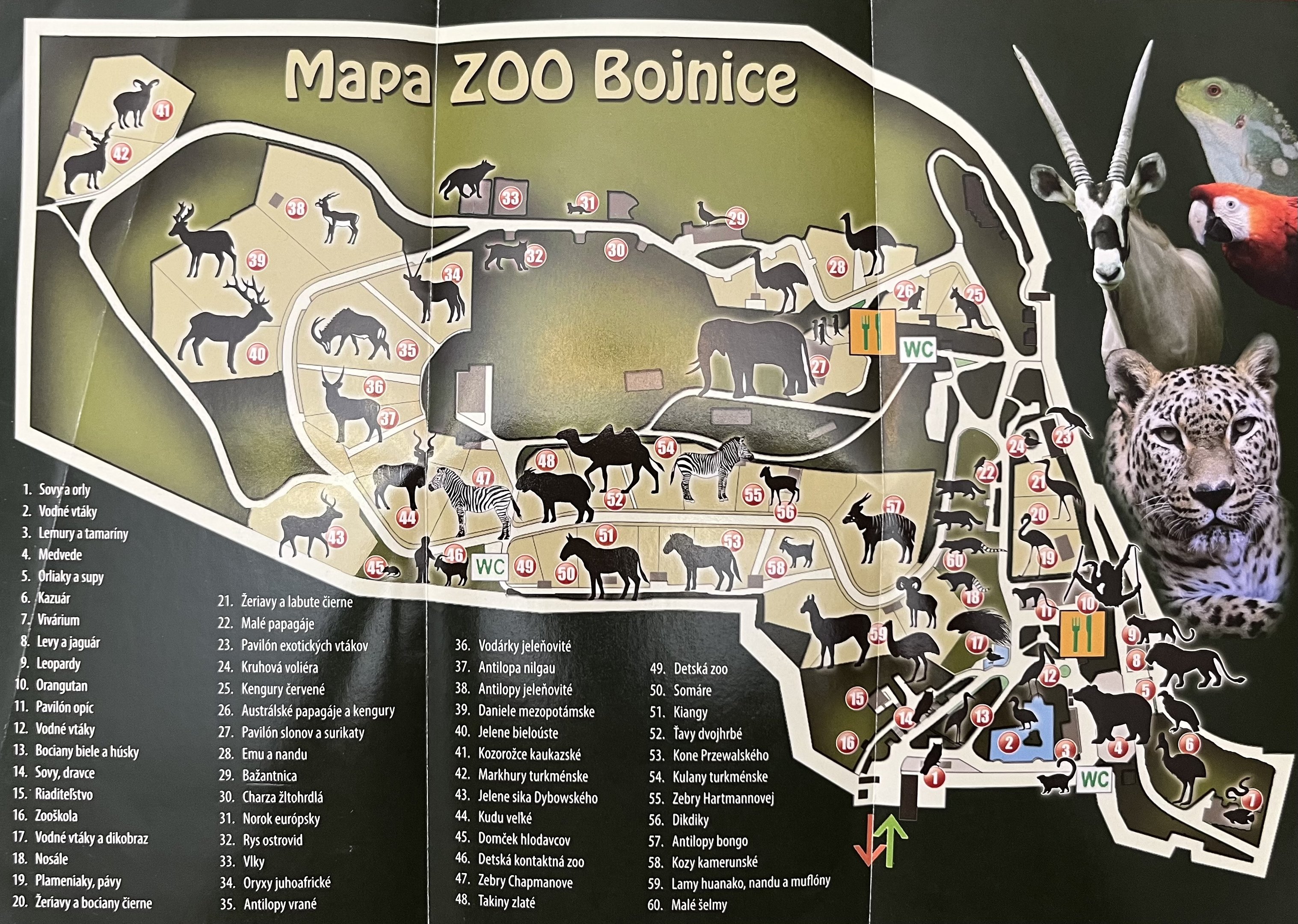 Zoo Map - undated