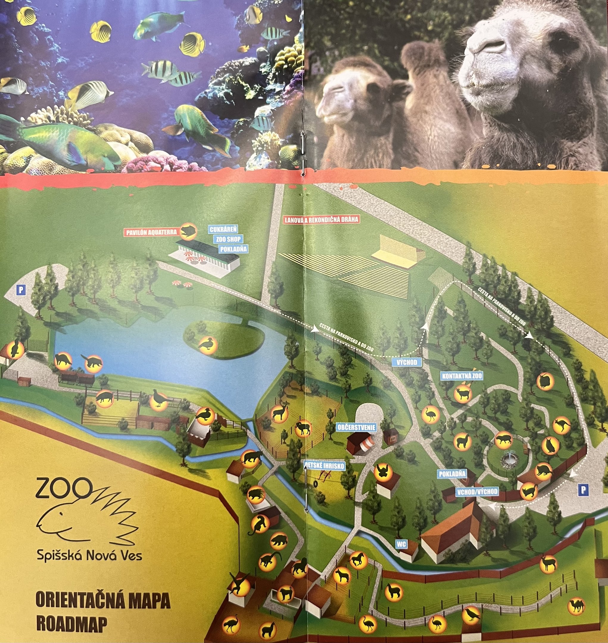 Zoo Map - undated