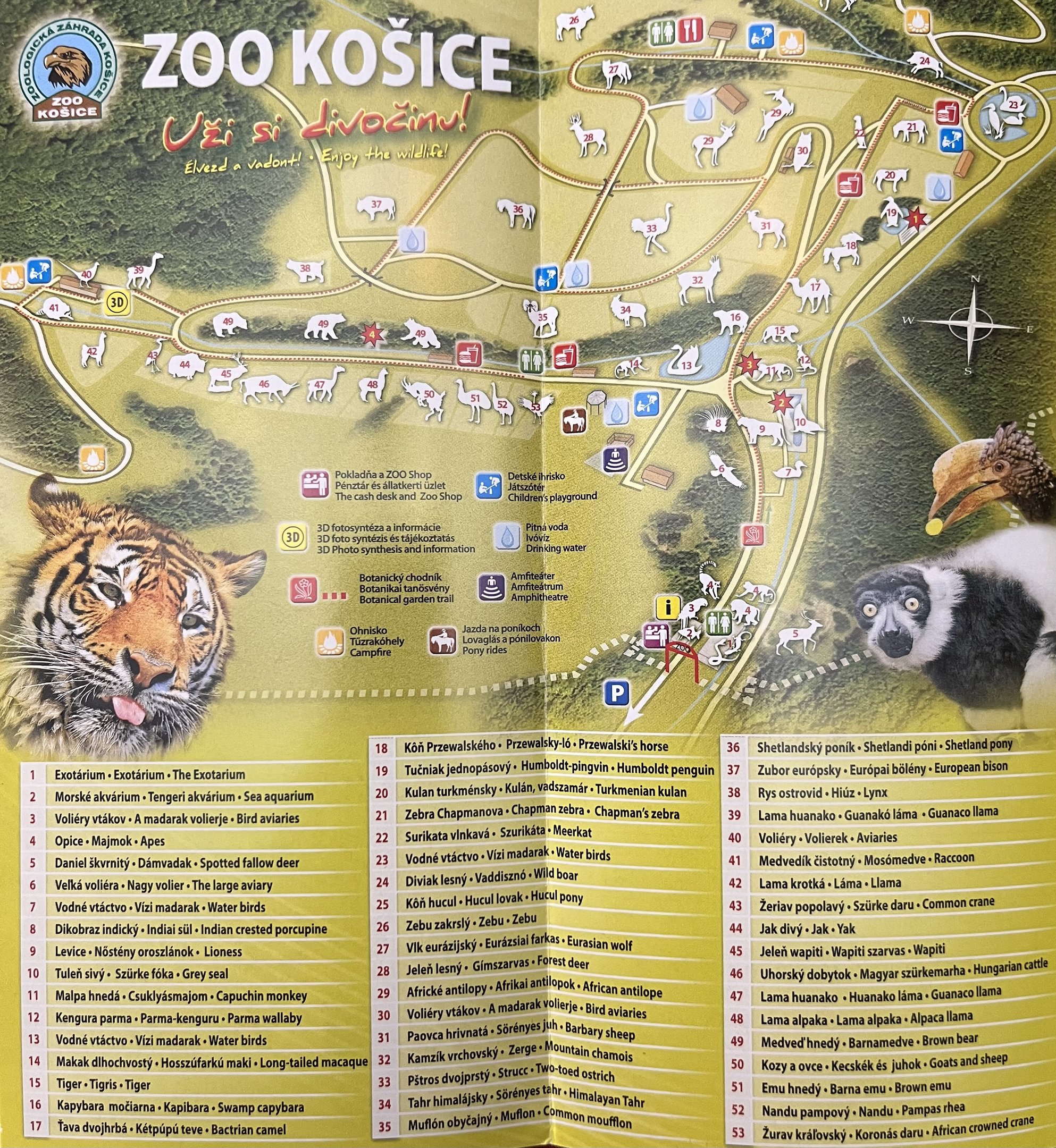 Zoo Map - undated
