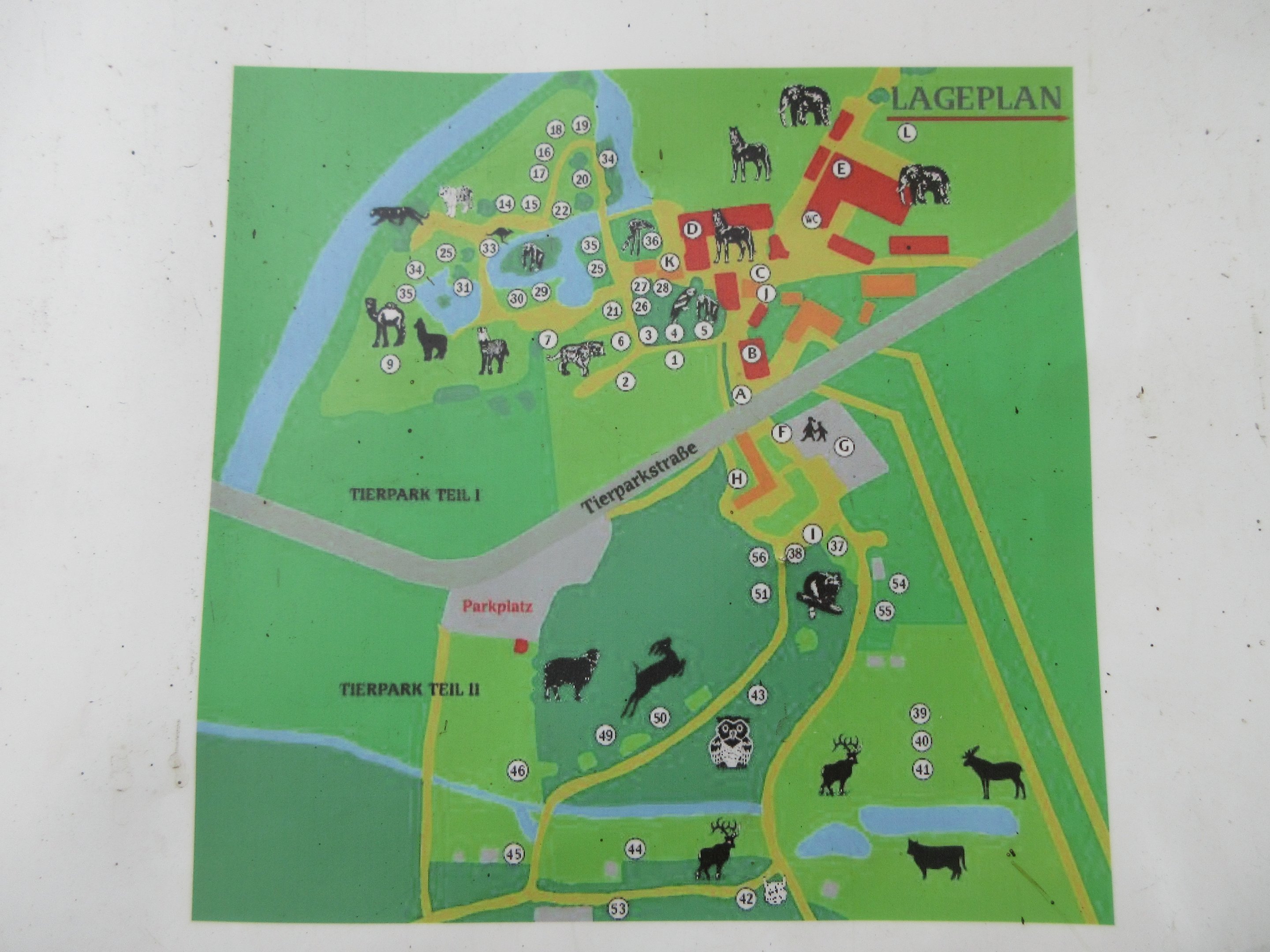 Zoo Map (zoo is divided by a road)