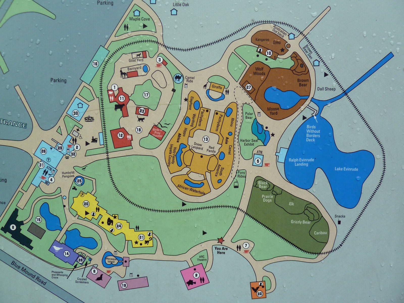 Zoo Map