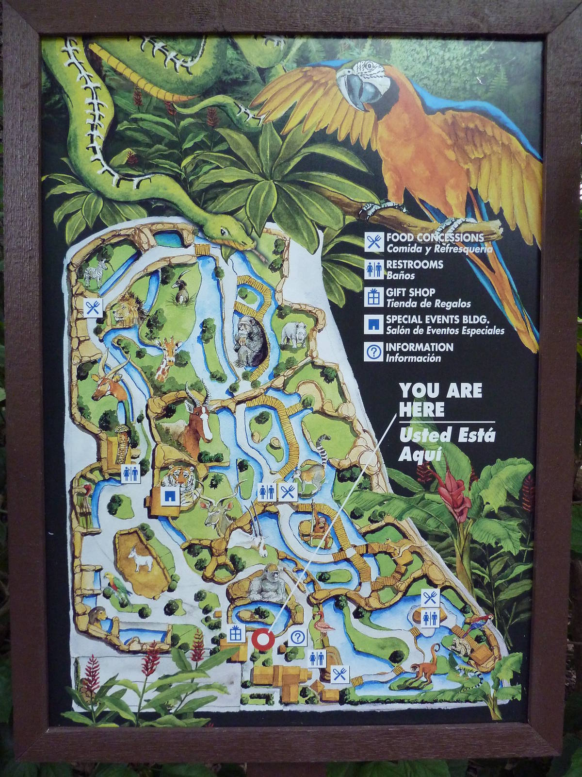 Zoo Map