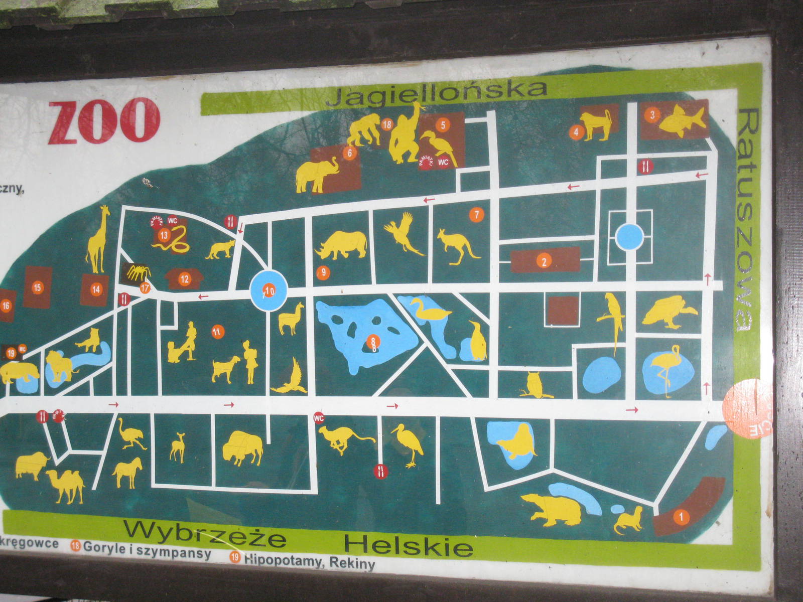 Zoo Map