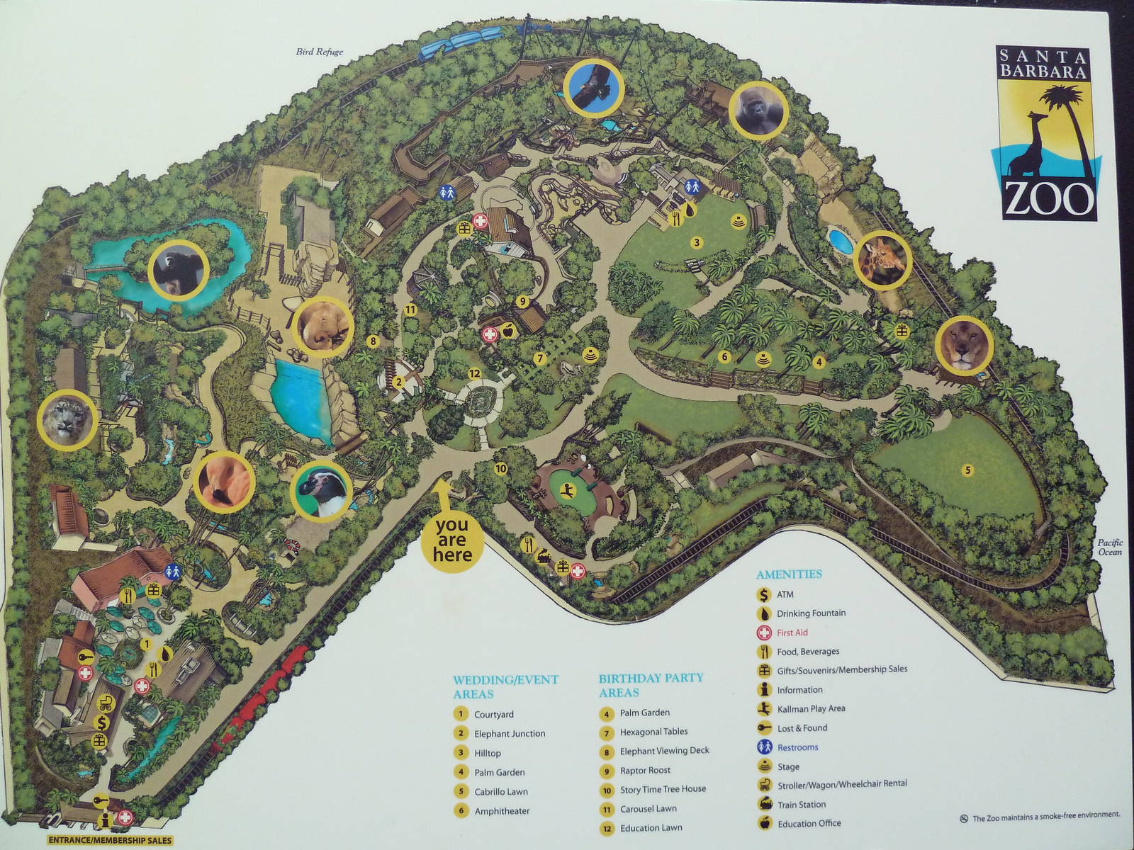 Zoo Map
