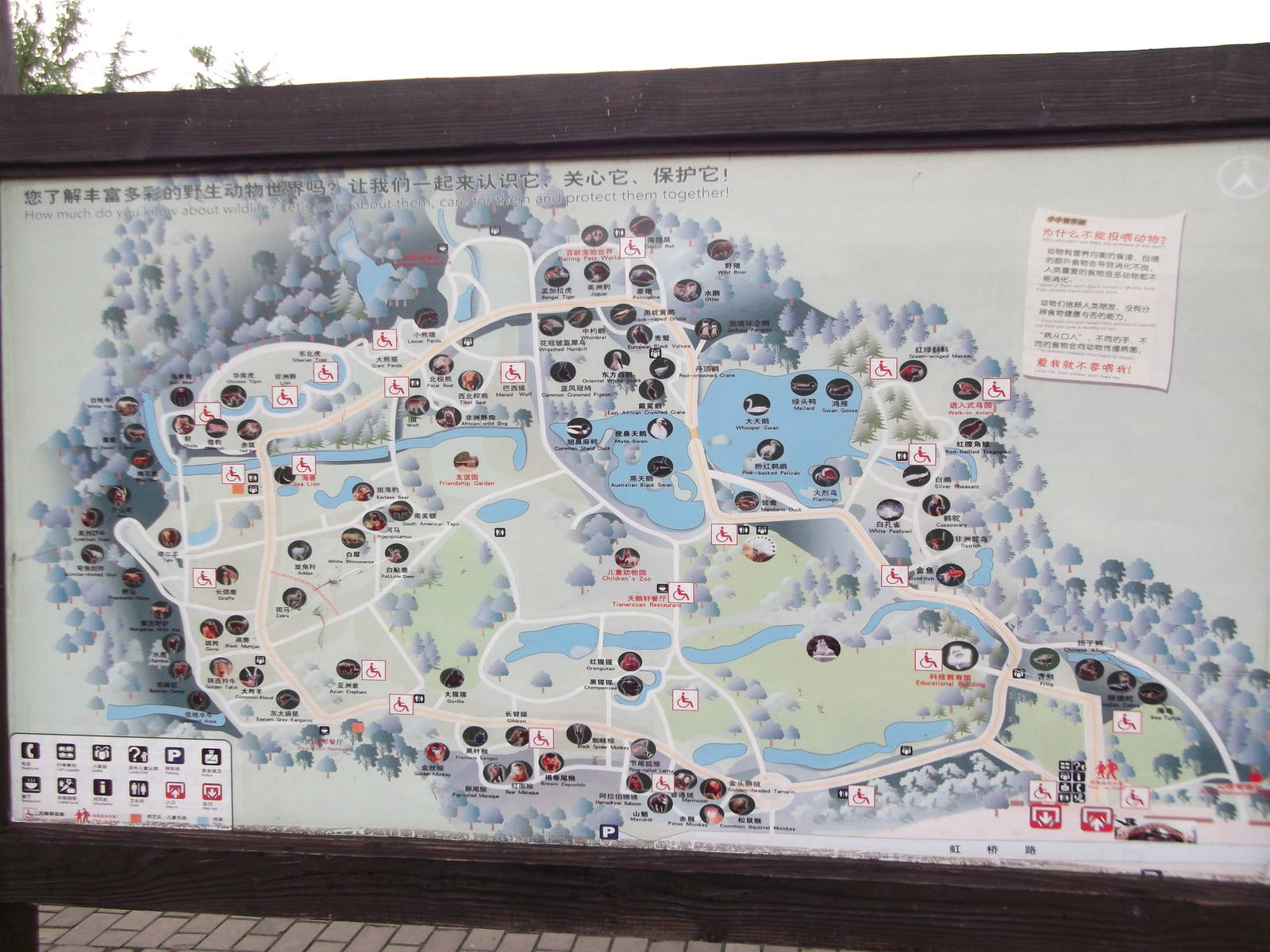 Zoo map