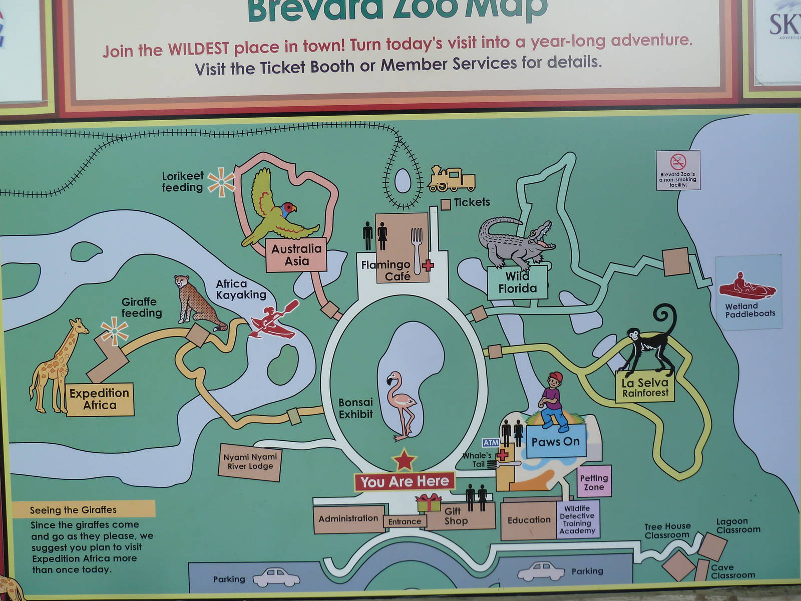 Zoo Map