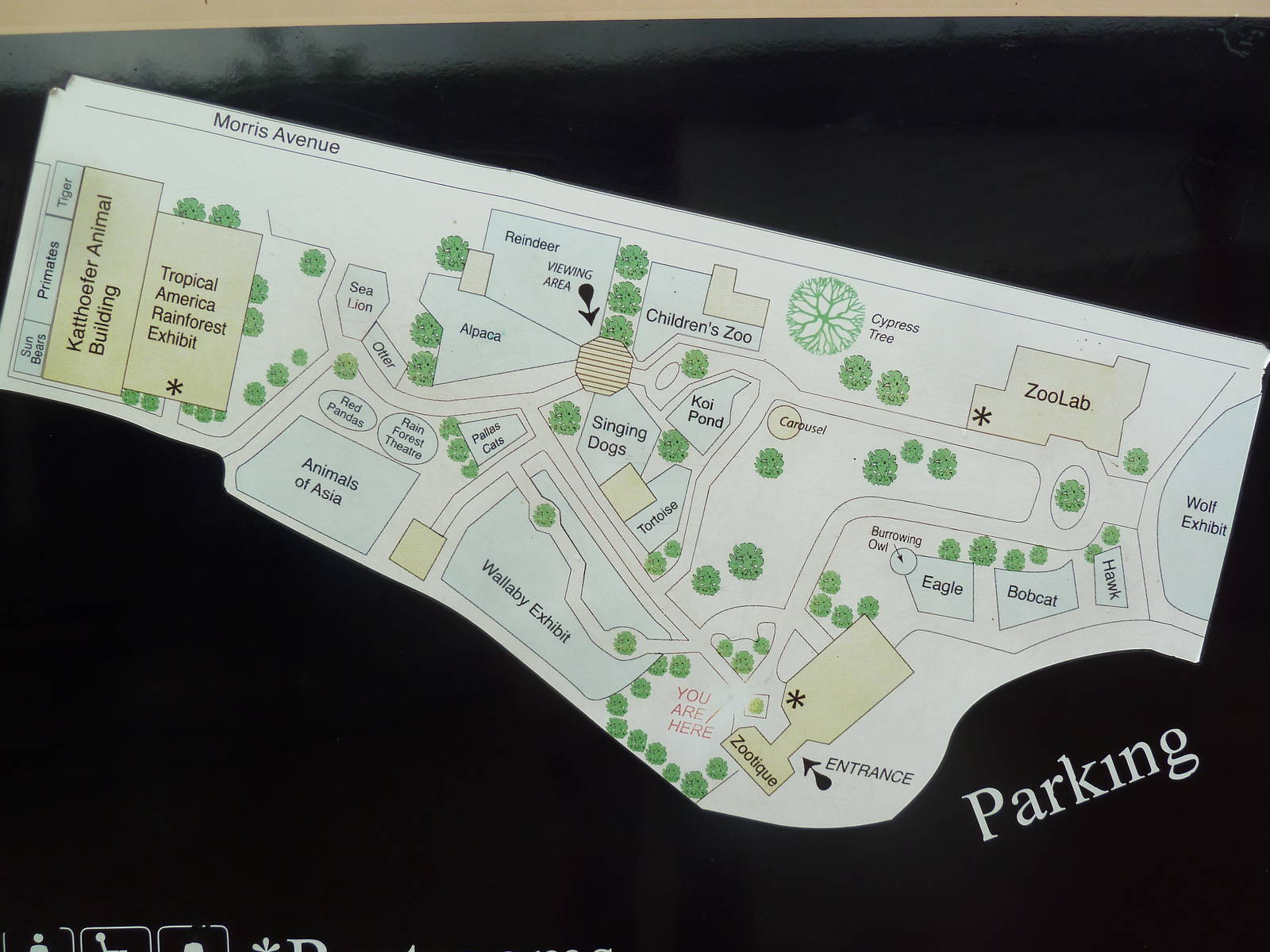 Zoo Map