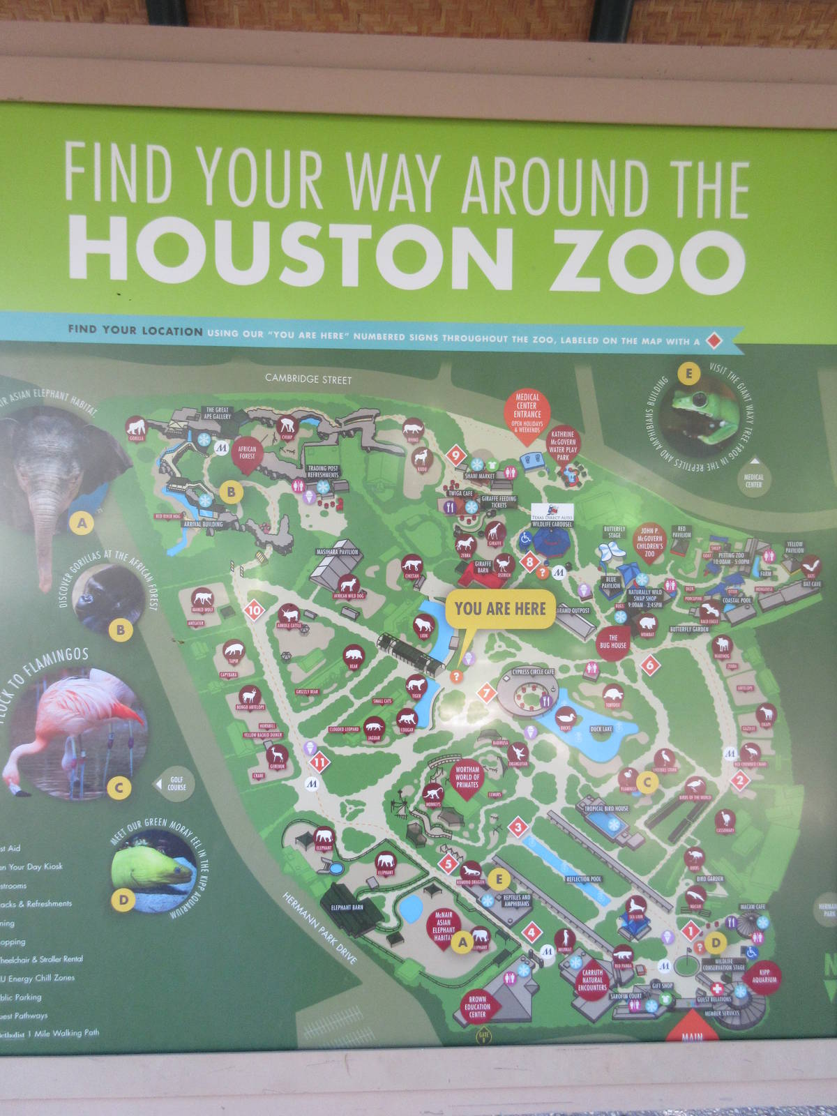 Zoo Map