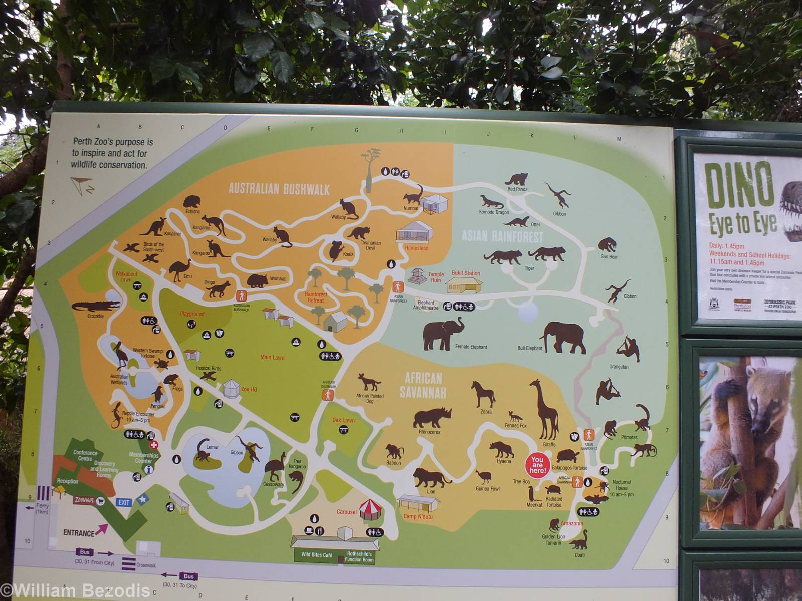 Zoo Map