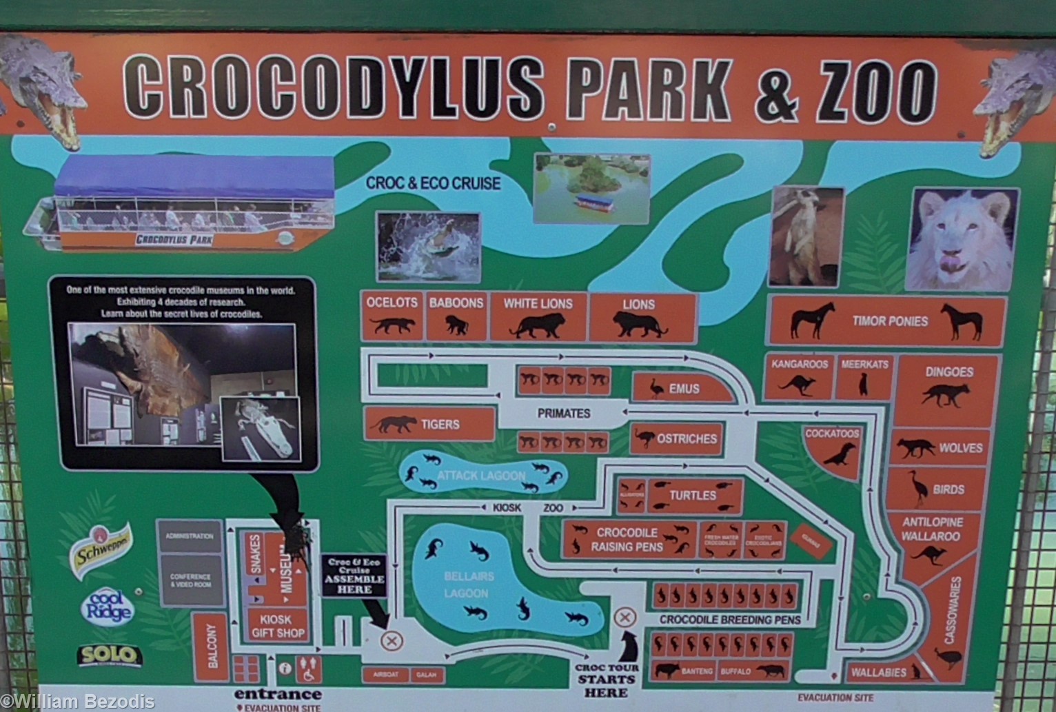 Zoo Map