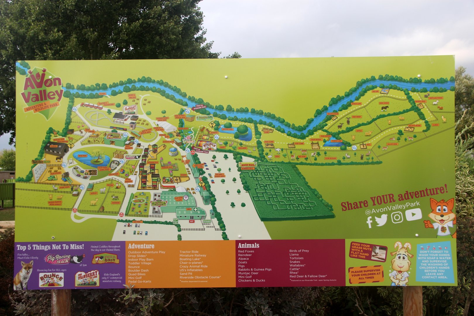 Zoo Map