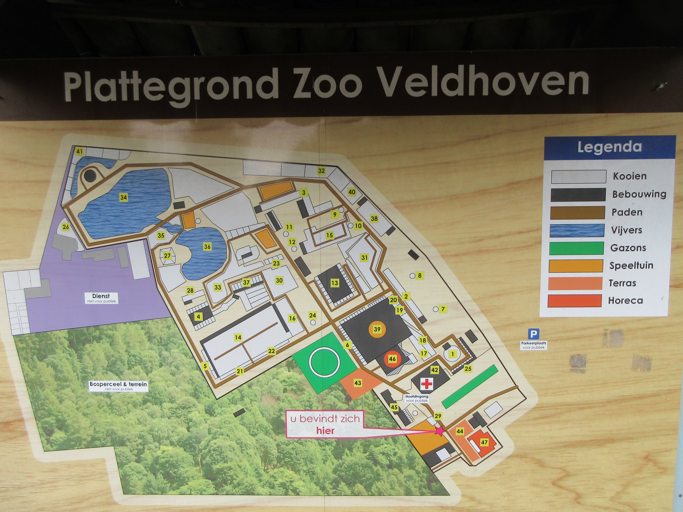 Zoo Map