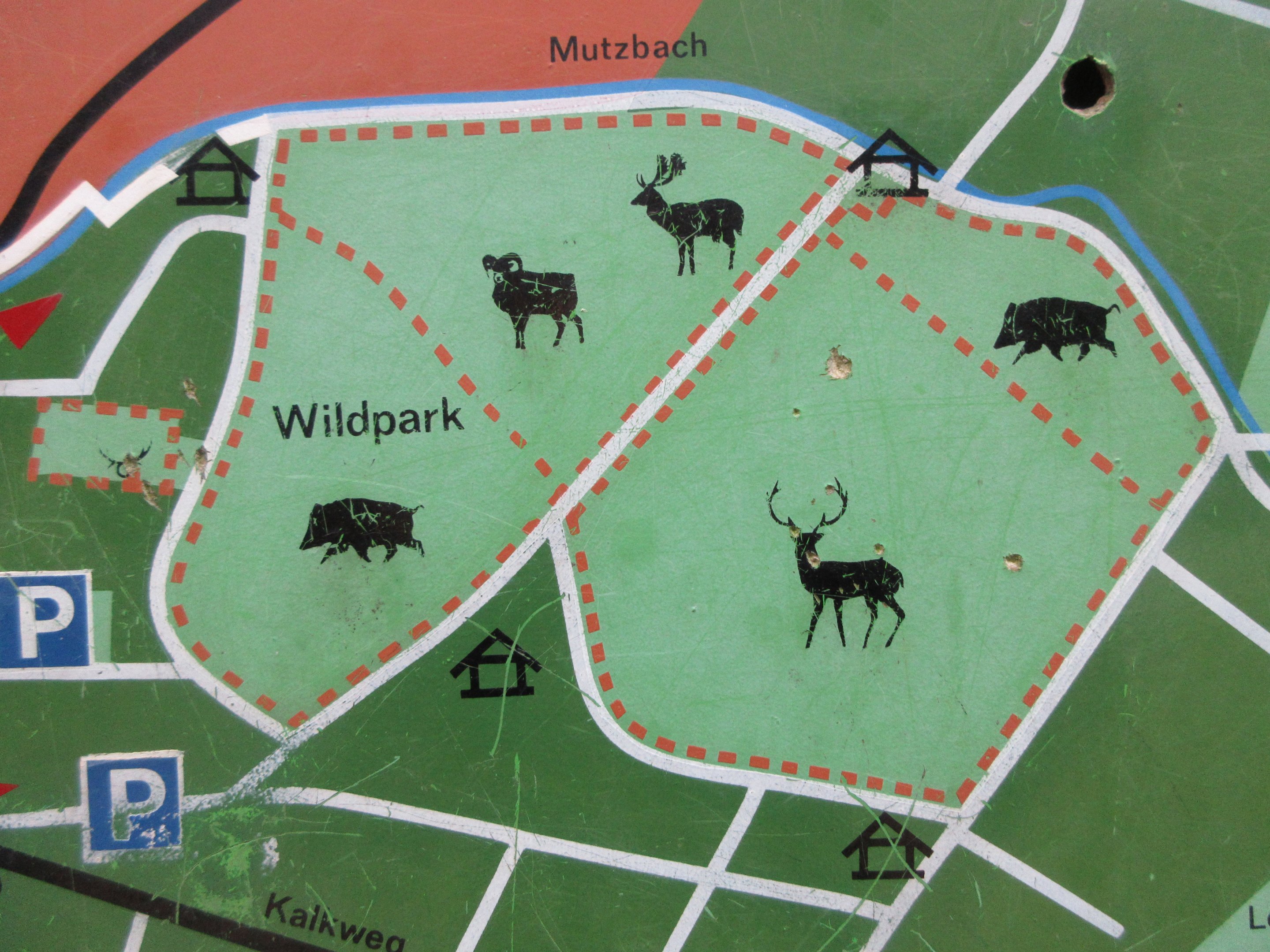 Zoo Map