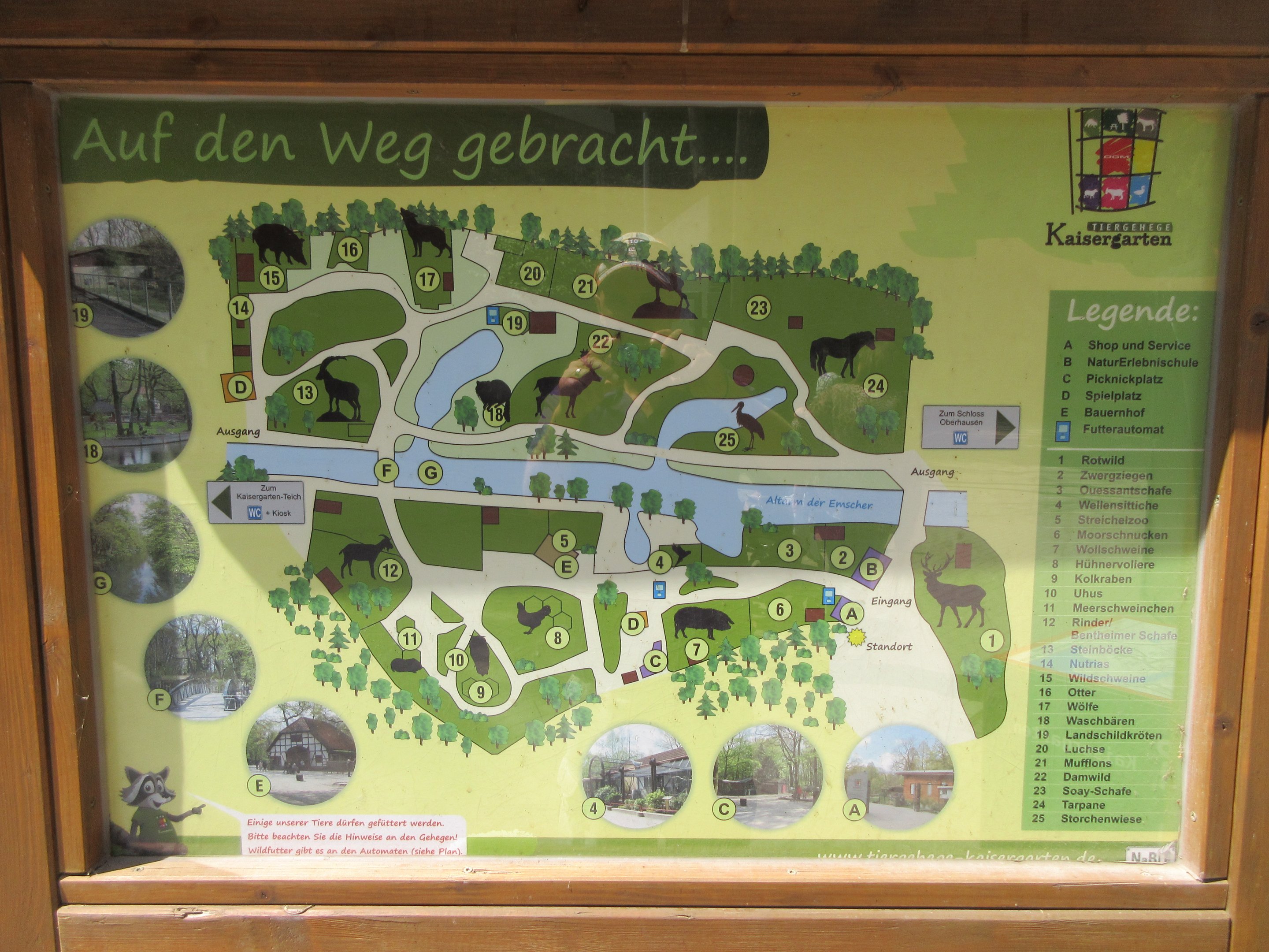 Zoo Map