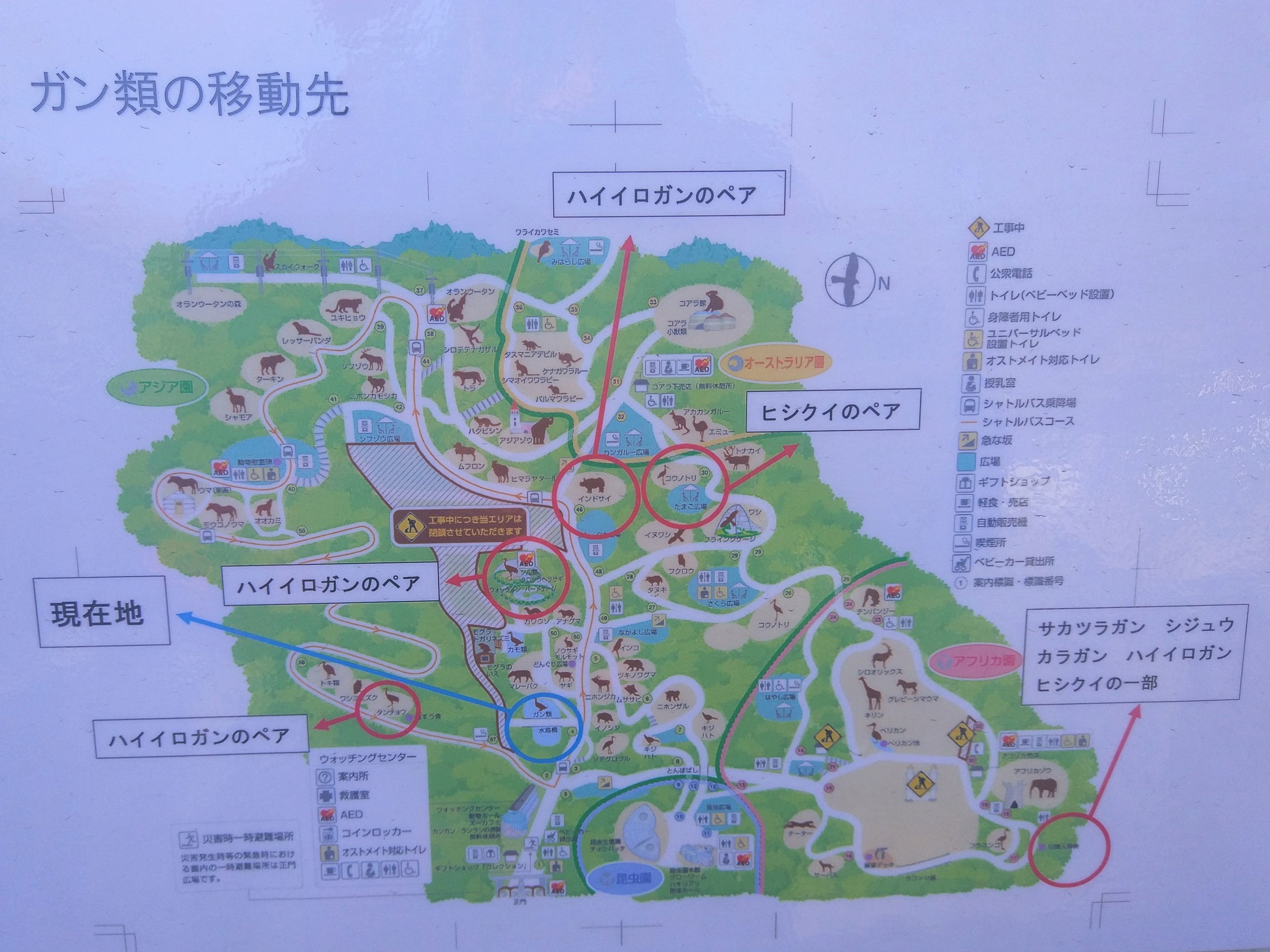 Zoo Map