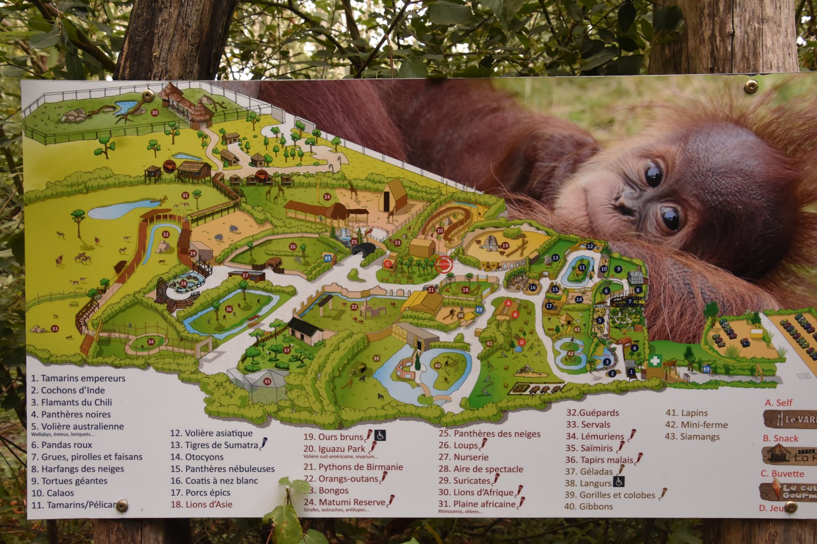 Zoo map