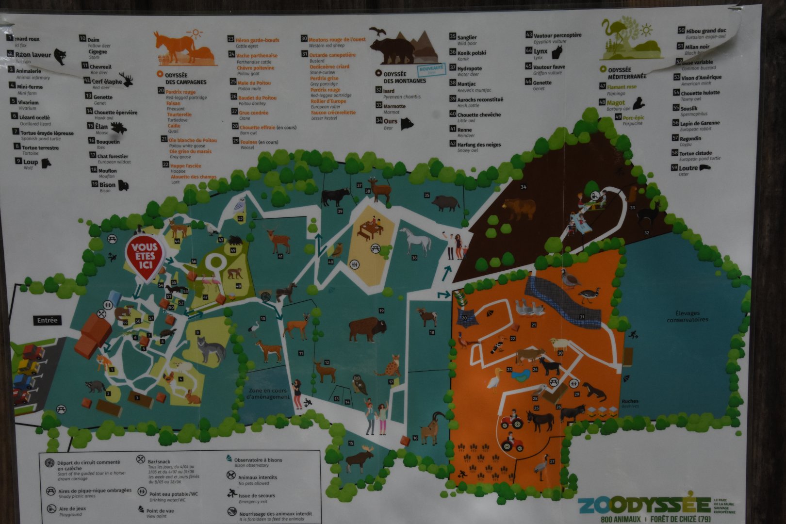 Zoo map