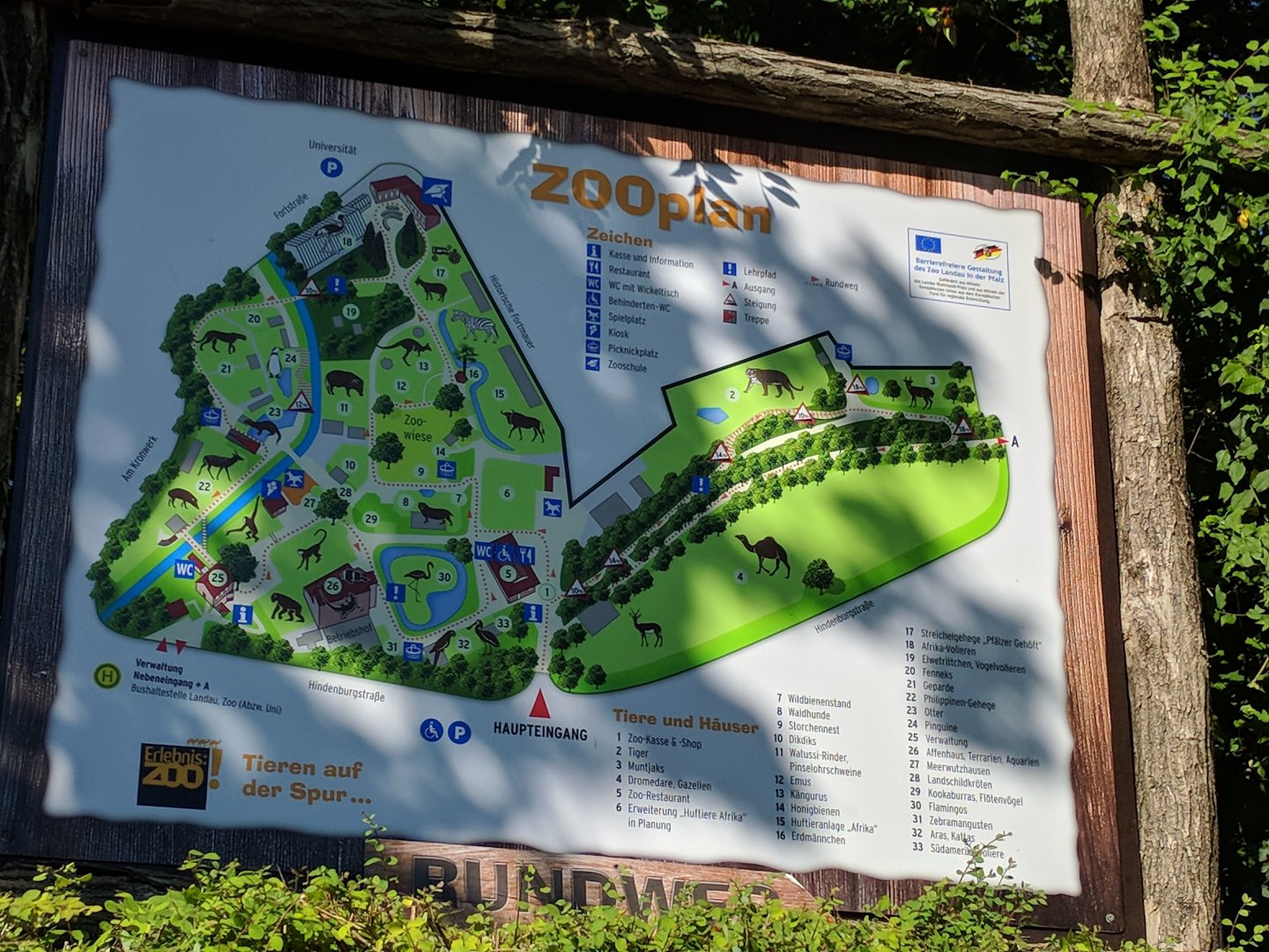 Zoo Map