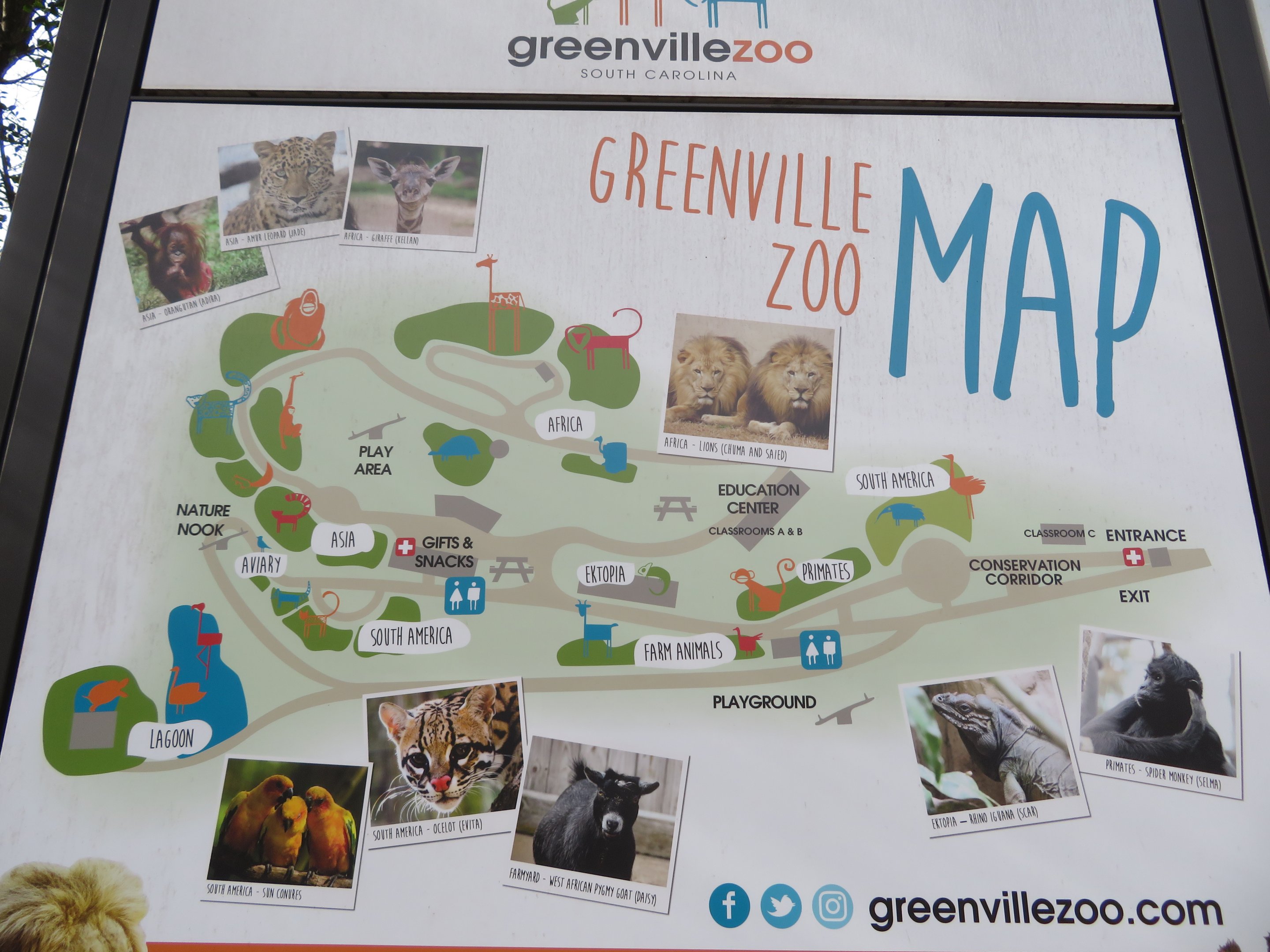 Zoo Map