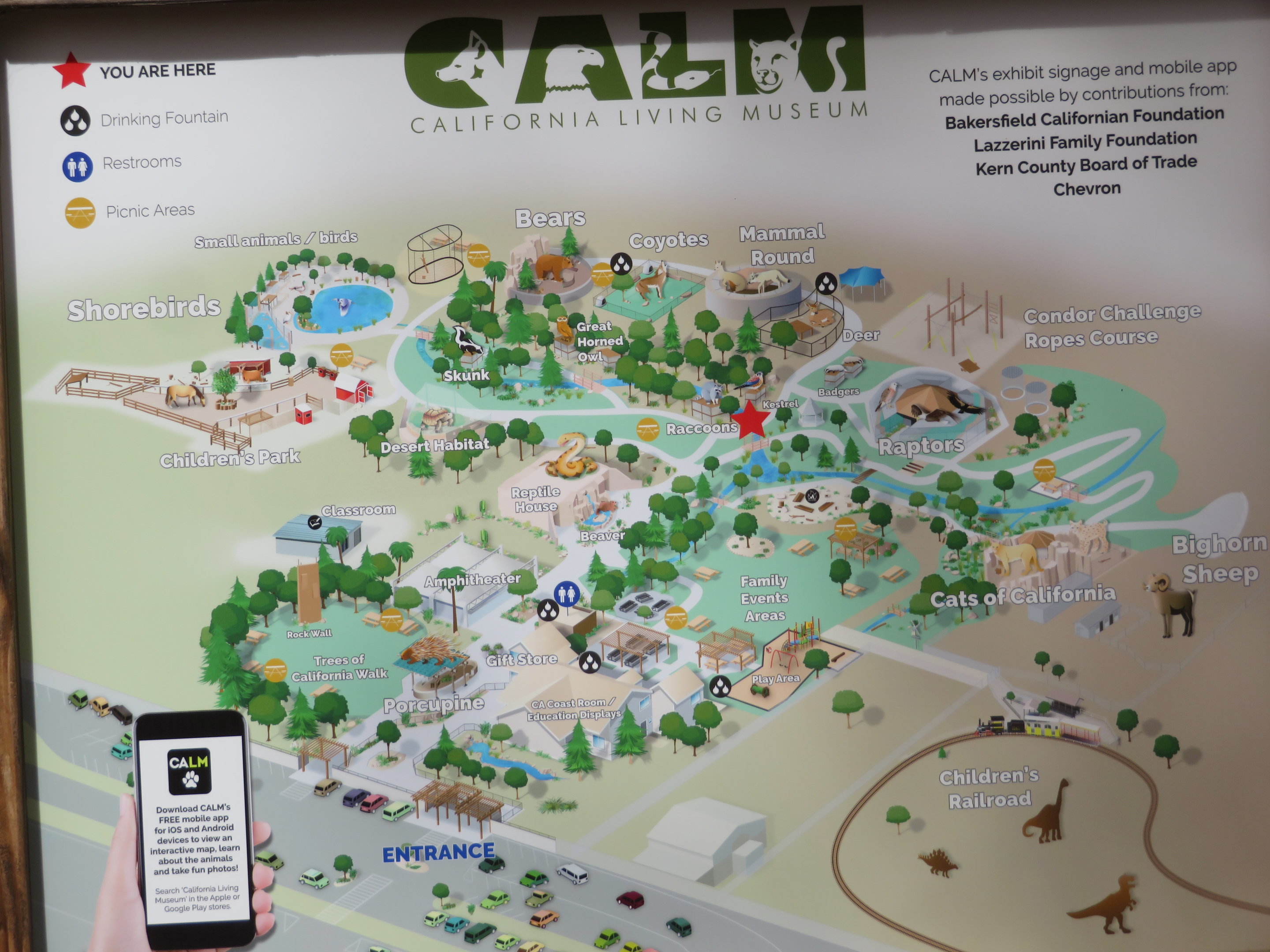 Zoo Map