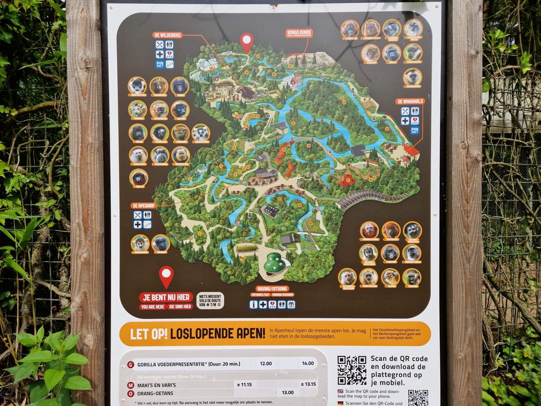 Zoo Map
