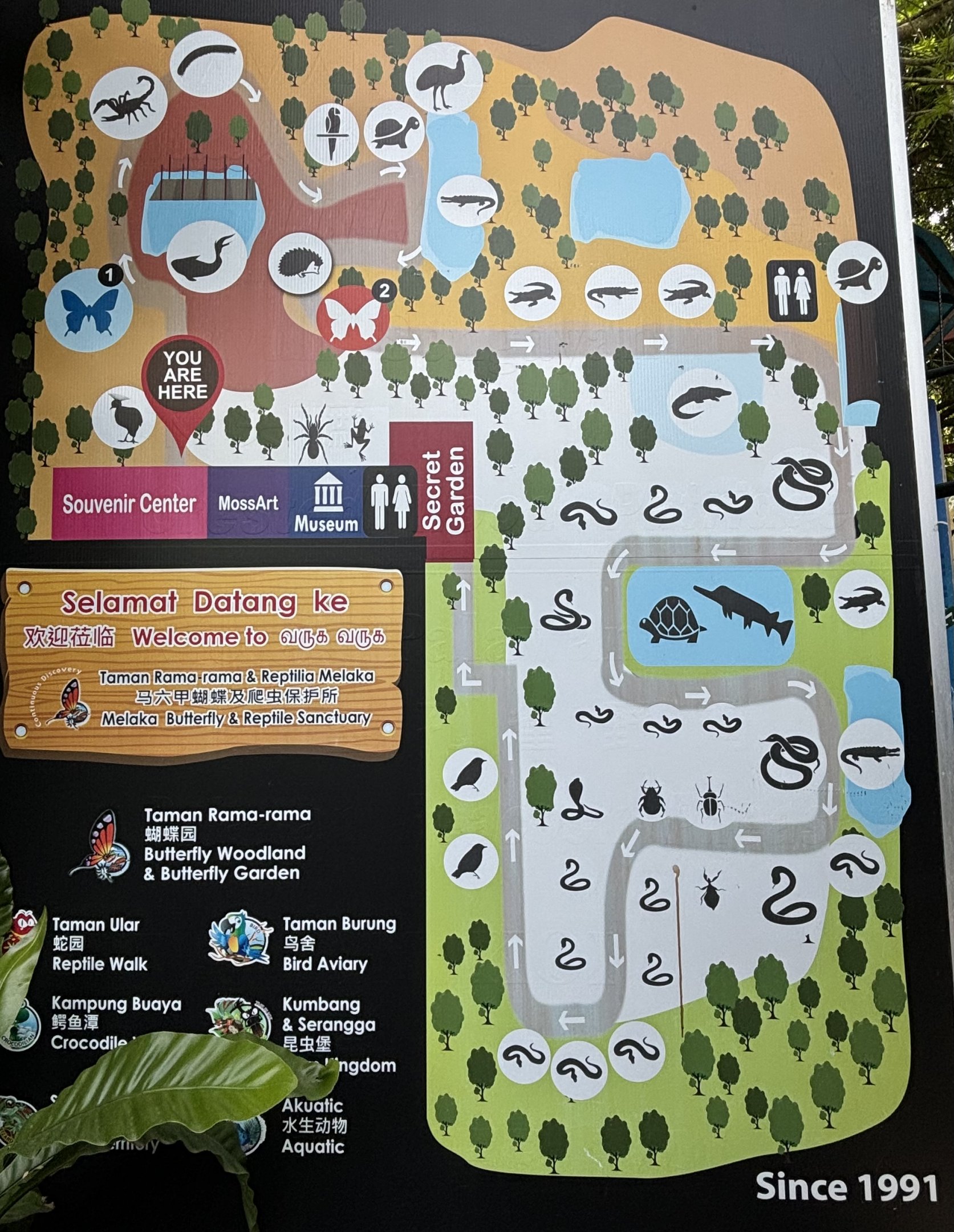 Zoo Map